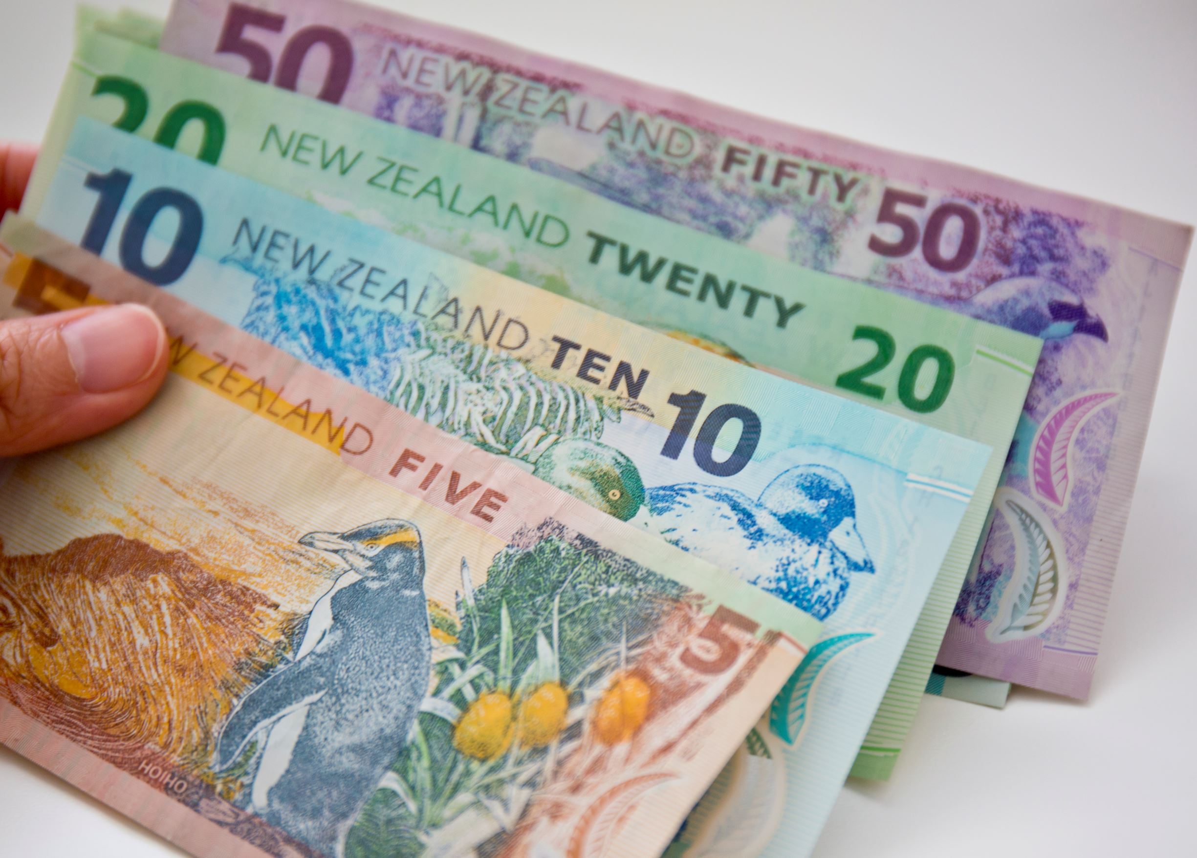 Kiwi down ahead govt book