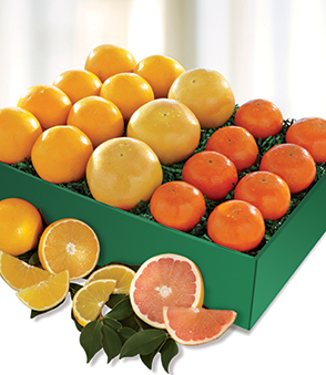 Harvey's Special Fruit Box