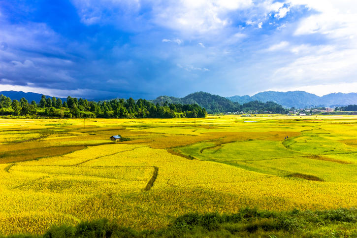 places India that perfect travel