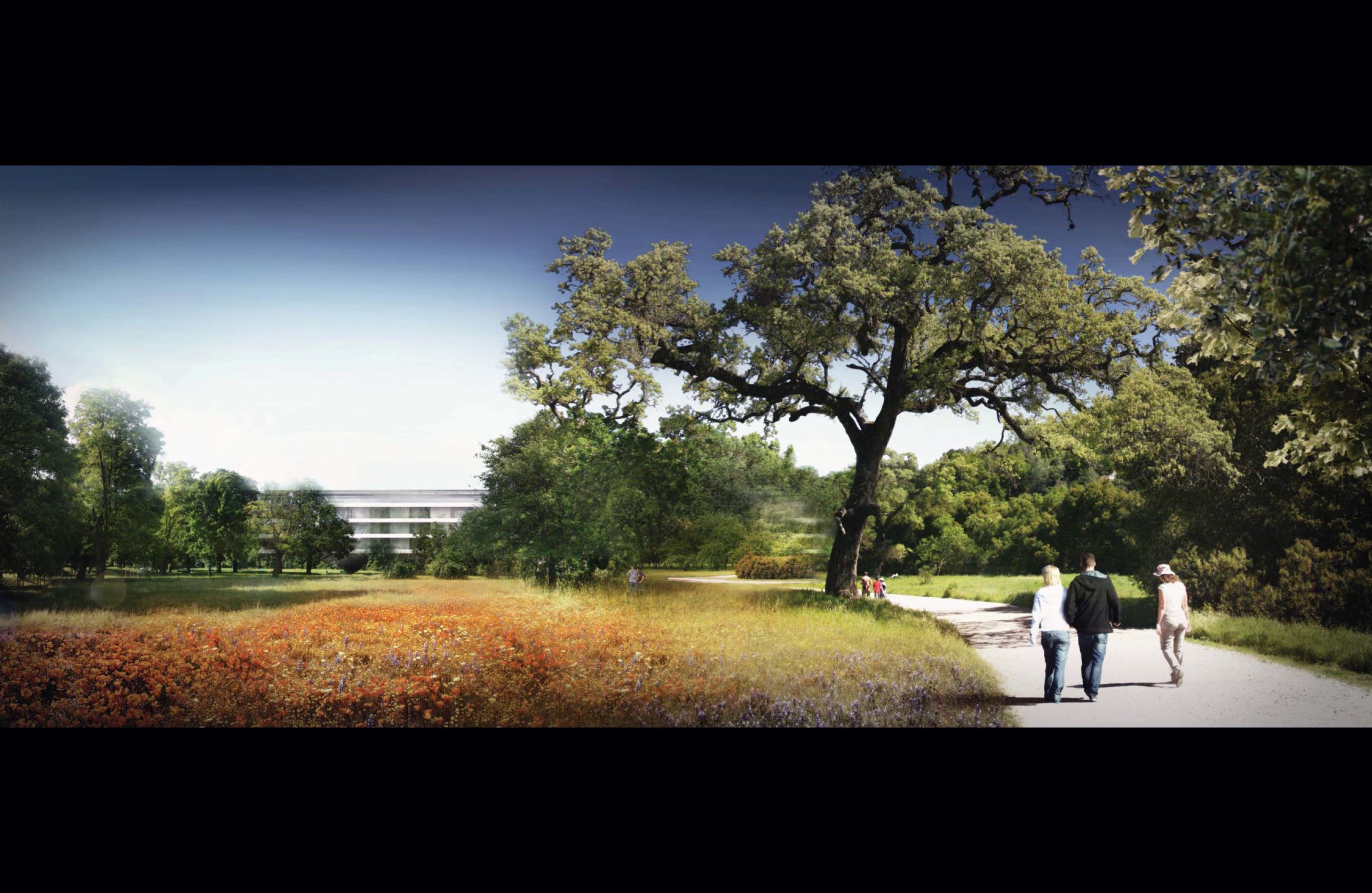 Διαφάνεια 6 από 12