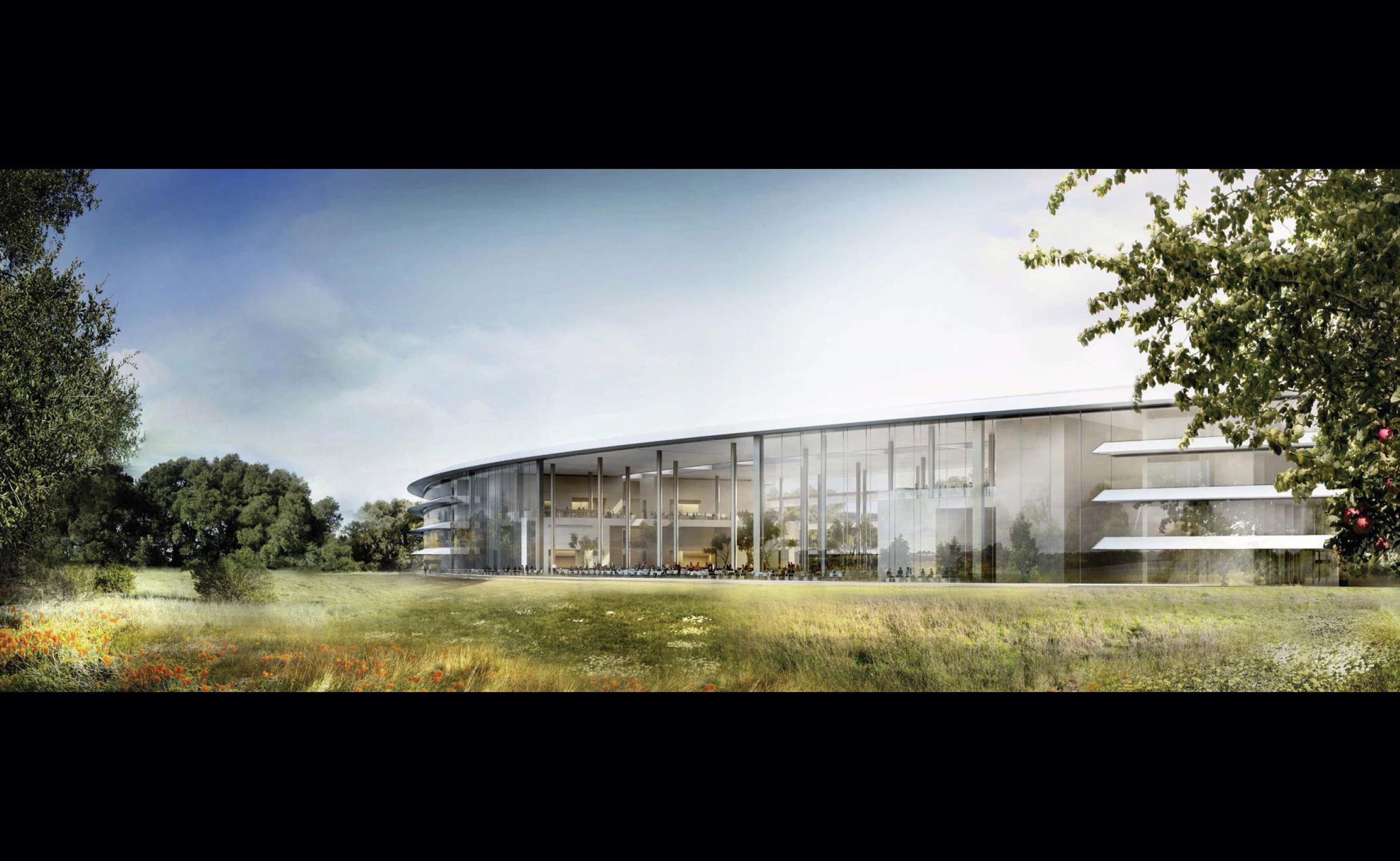 Διαφάνεια 11 από 12