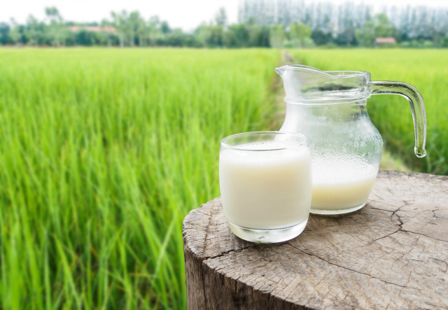 Which type milk right you?