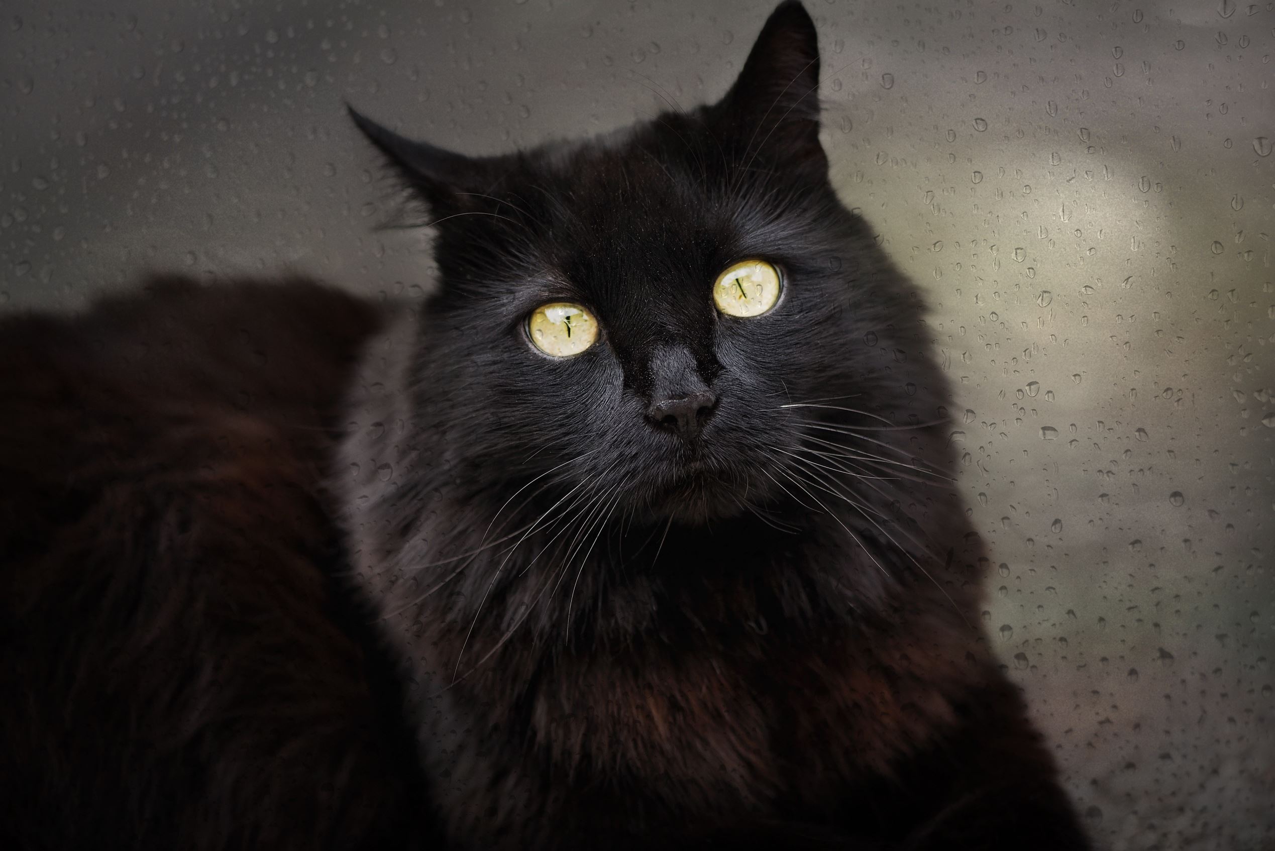 strangest superstitions world