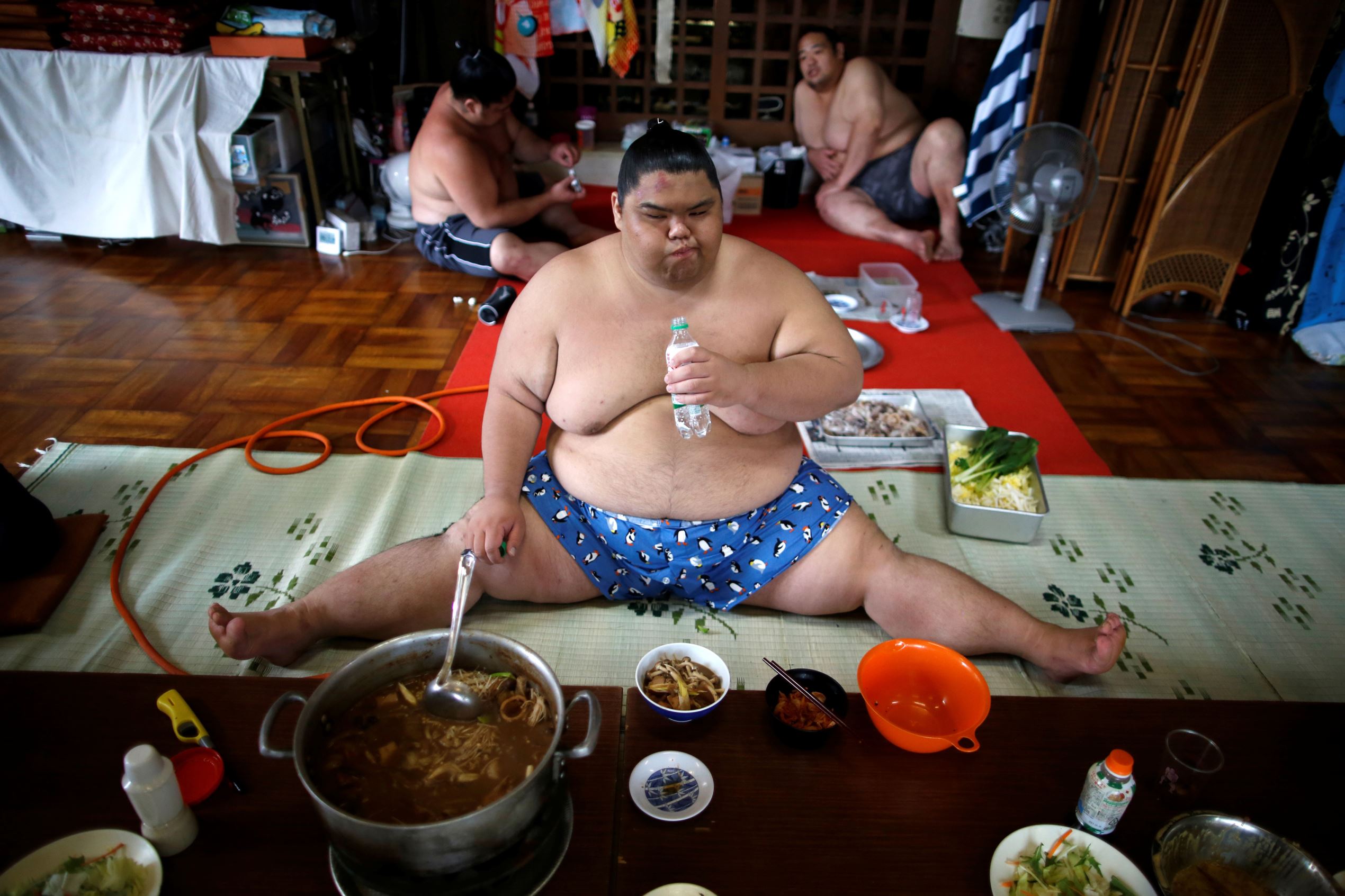 glimpse into life Sumo wrestlers