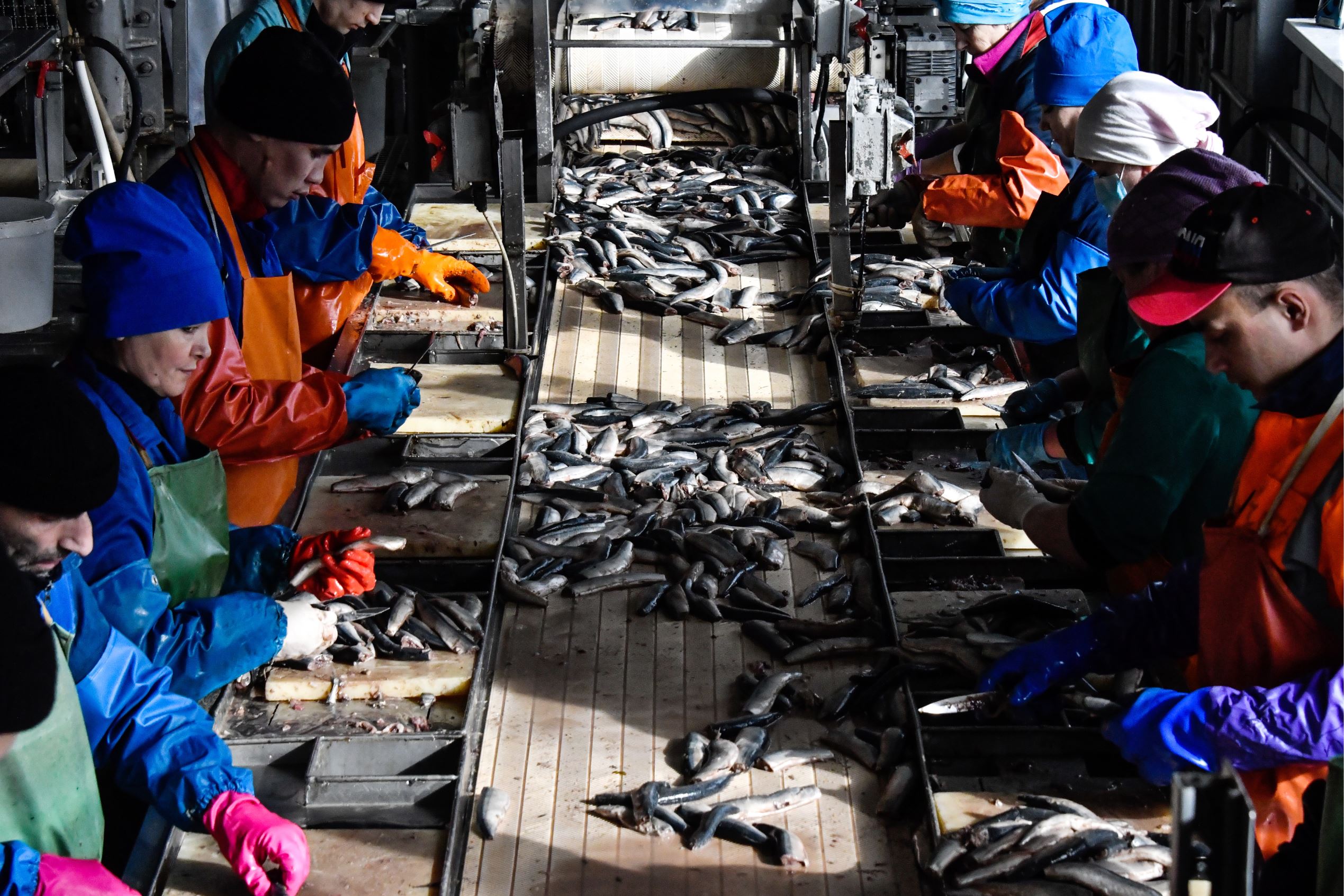 Americans trash fish billionaire
