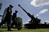 'Fake Chinese spares indigenised Bofors