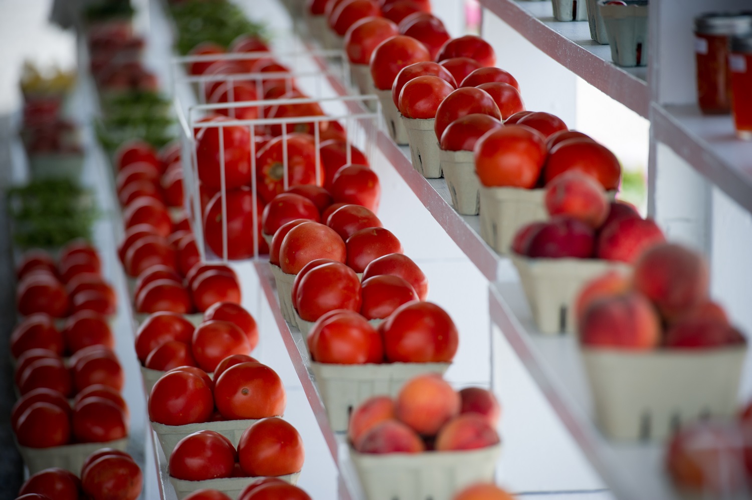 Seeing red: tomato fire?