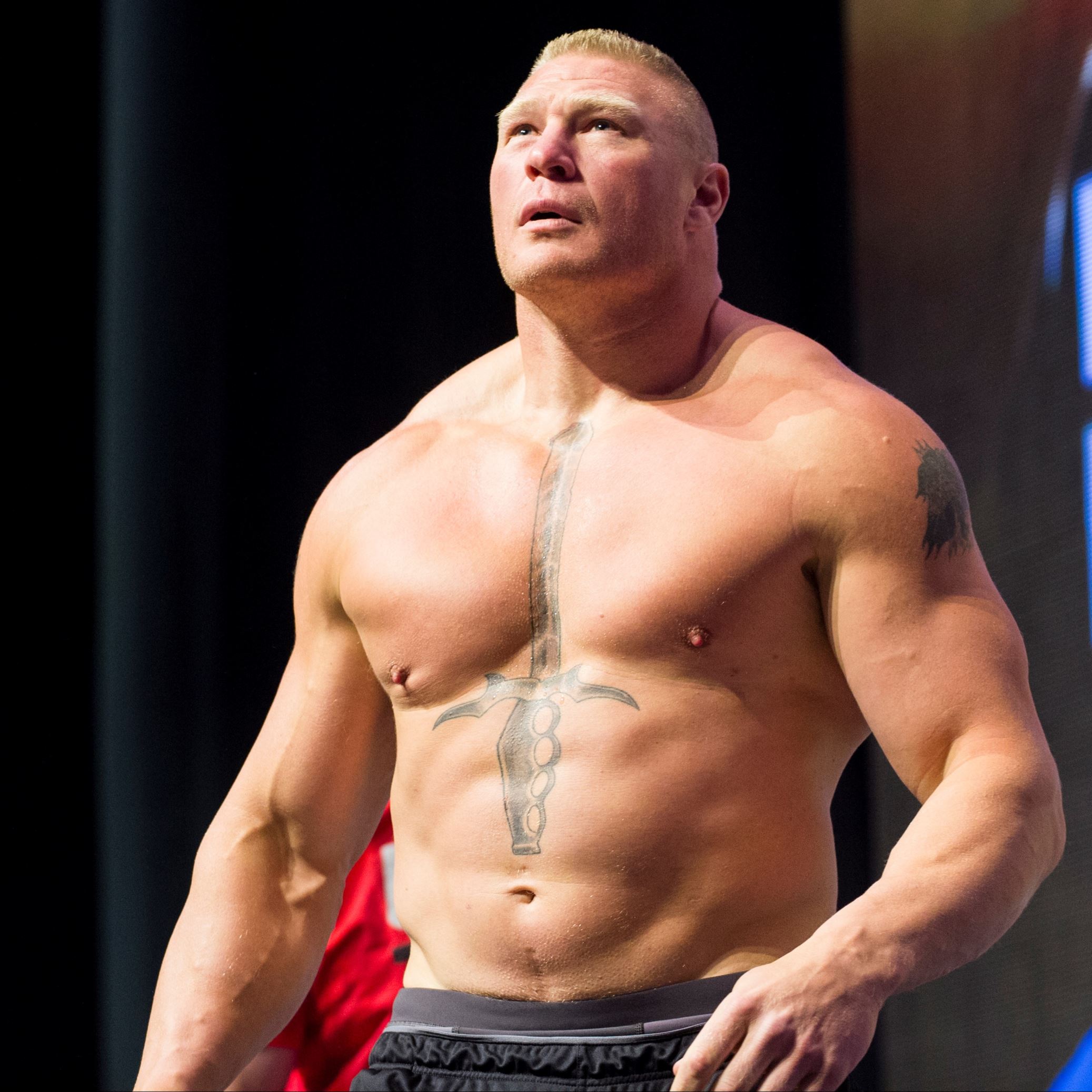Lesnar Jones: 'Careful what wish
