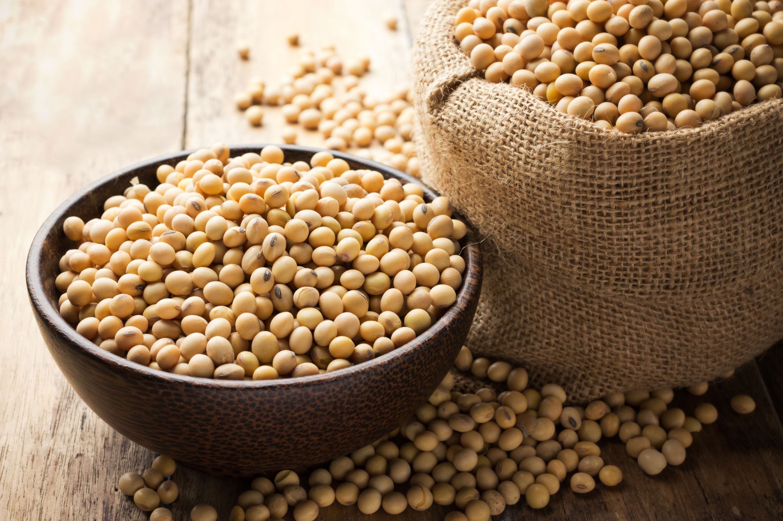 Soya apple cider vinegar foods