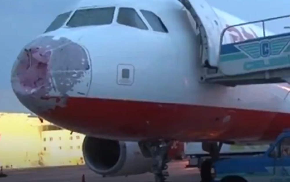 Pilot lands Airbus 'blind'