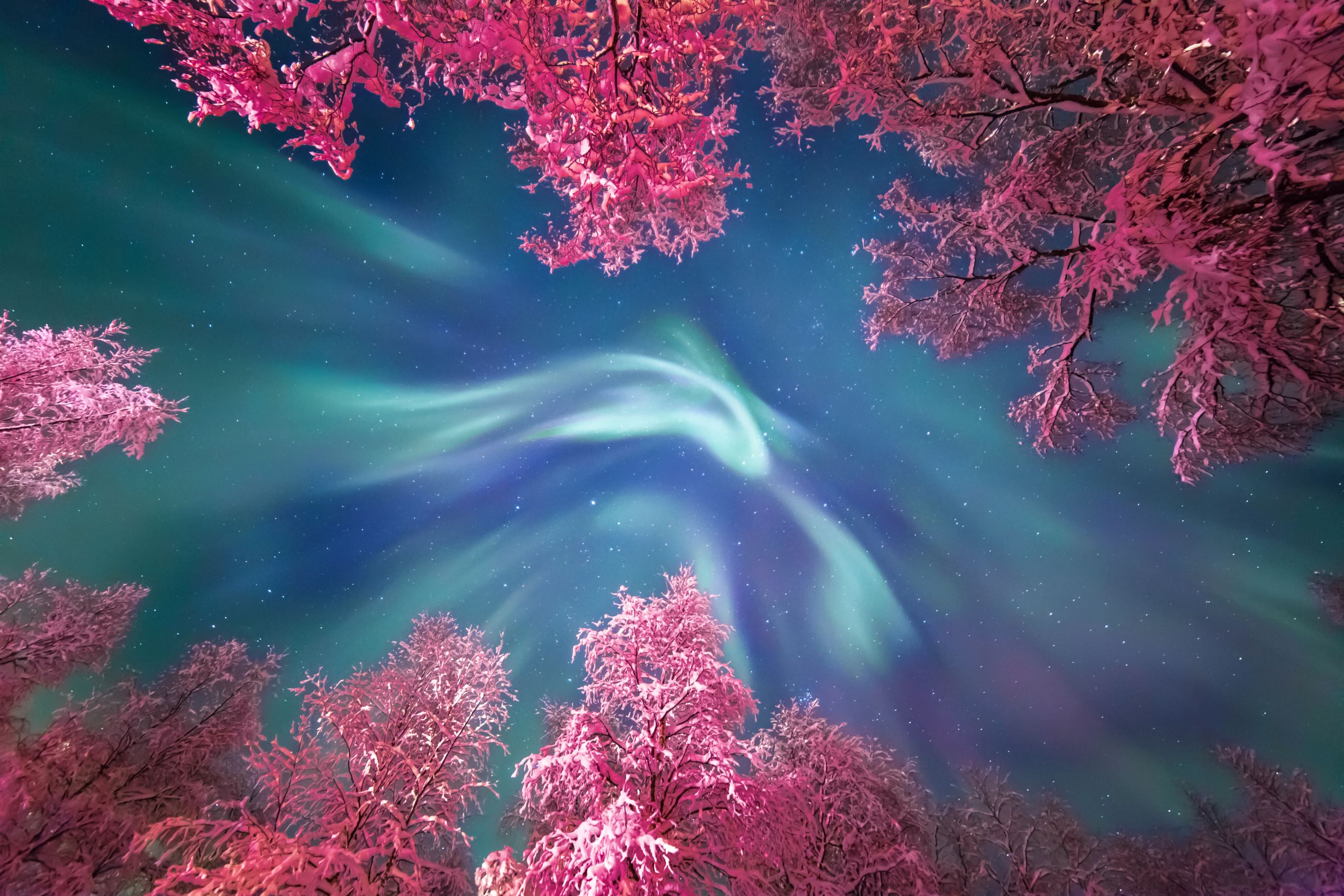 Breathtaking Astronomy Photographer Year photos