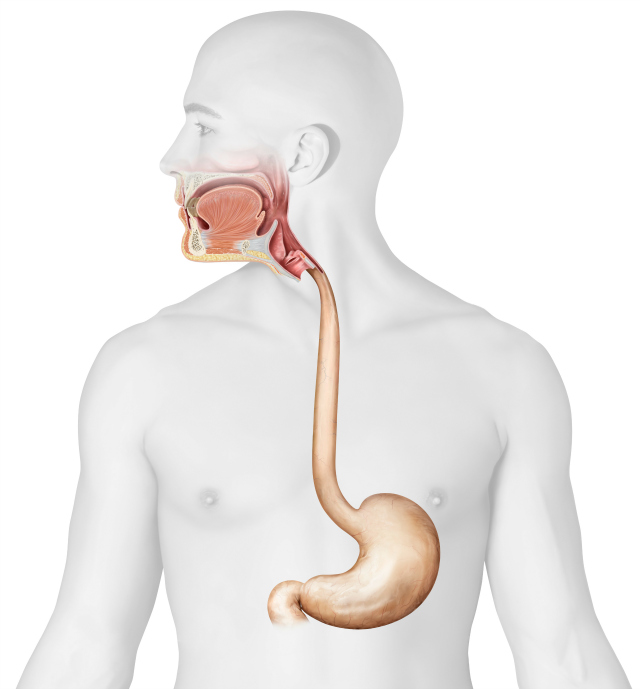 warning signs stomach cancer