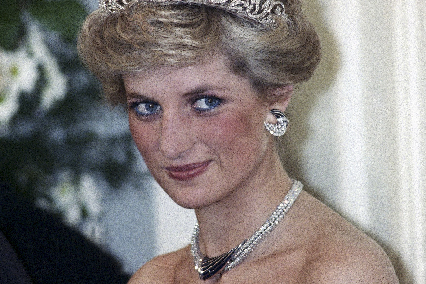 'Diana wanted world know'
