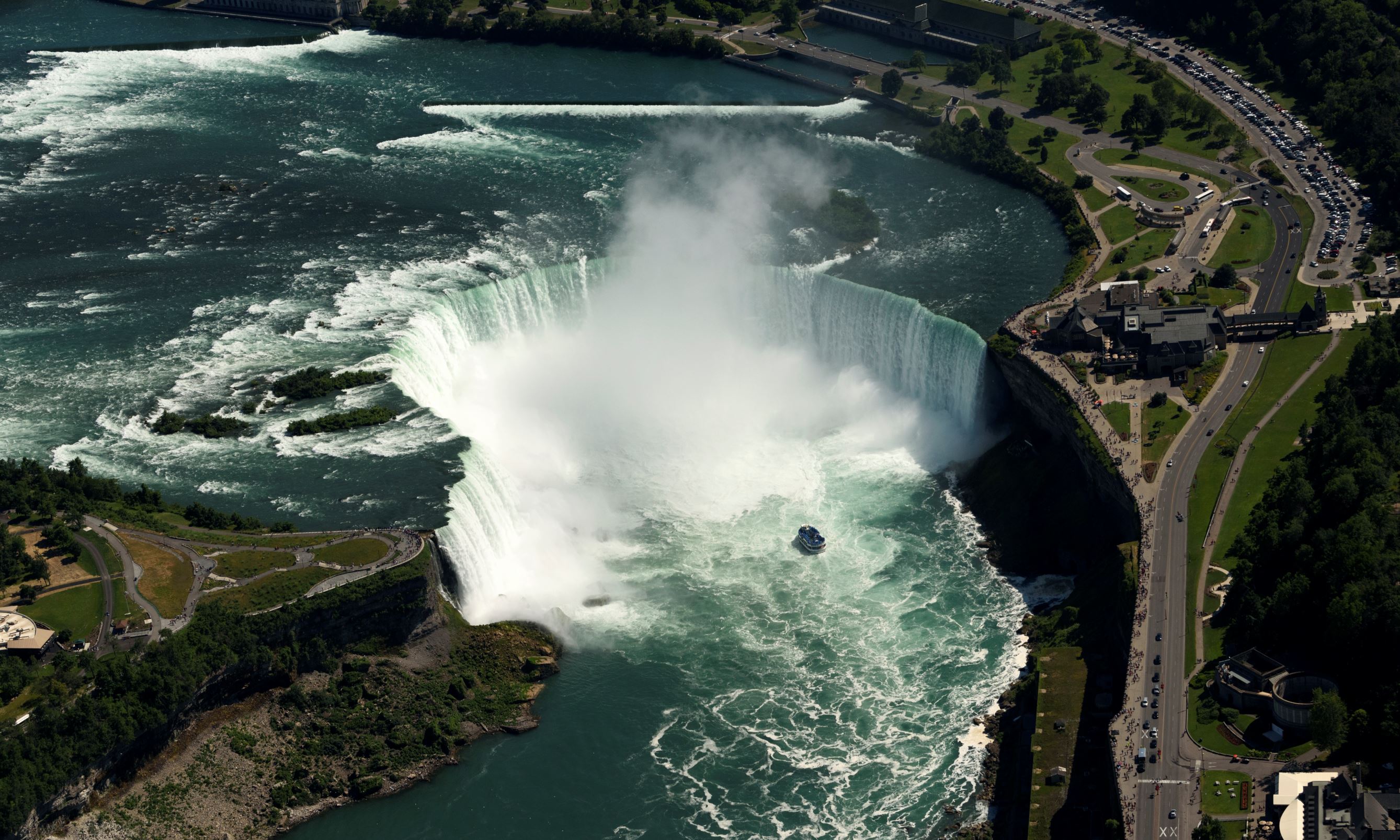 Foul-smelling, black water spotted Niagara