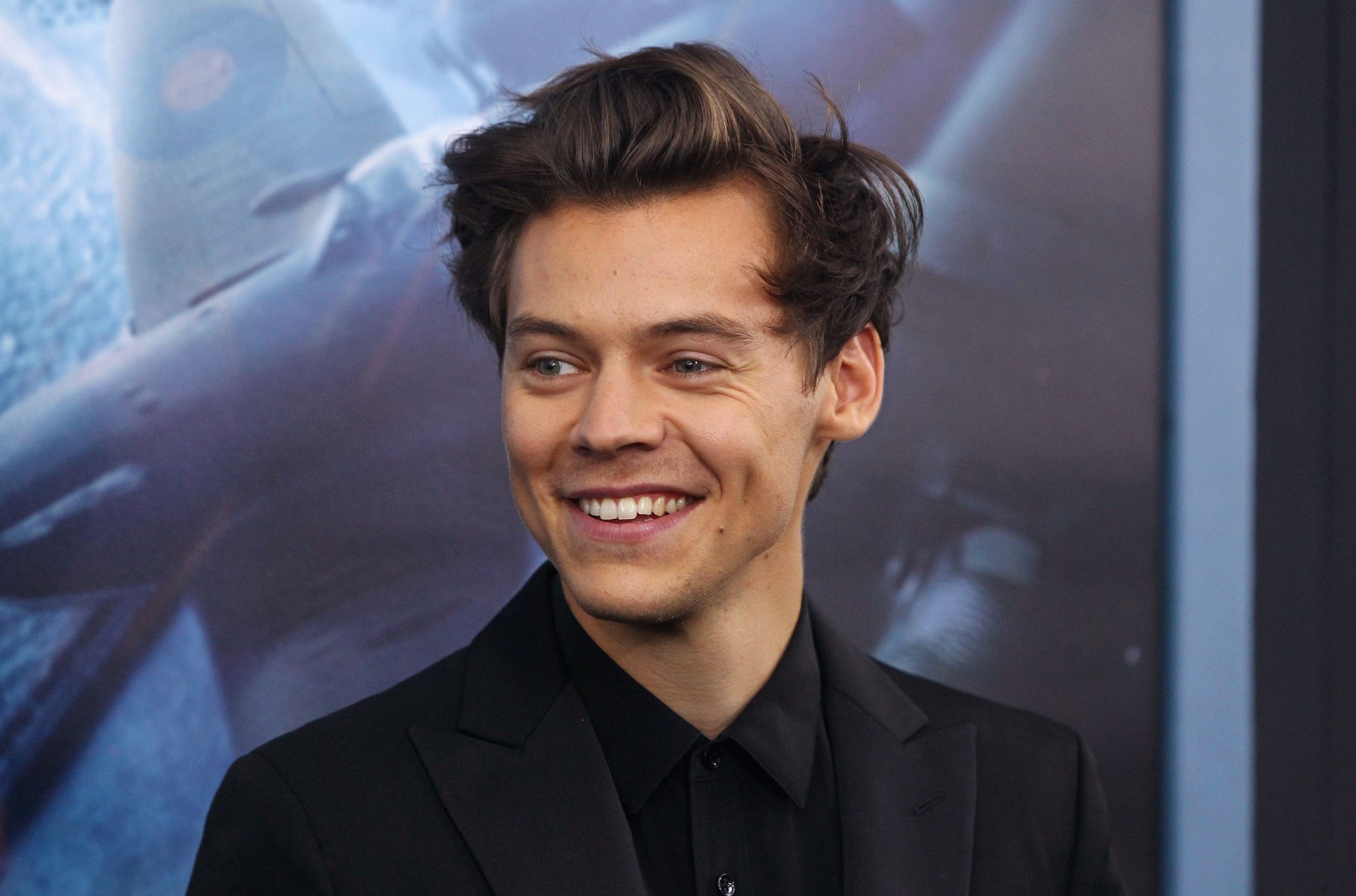 could reunite without Harry Styles'