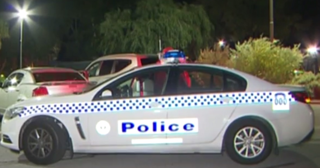Police dogs help teen joyriders