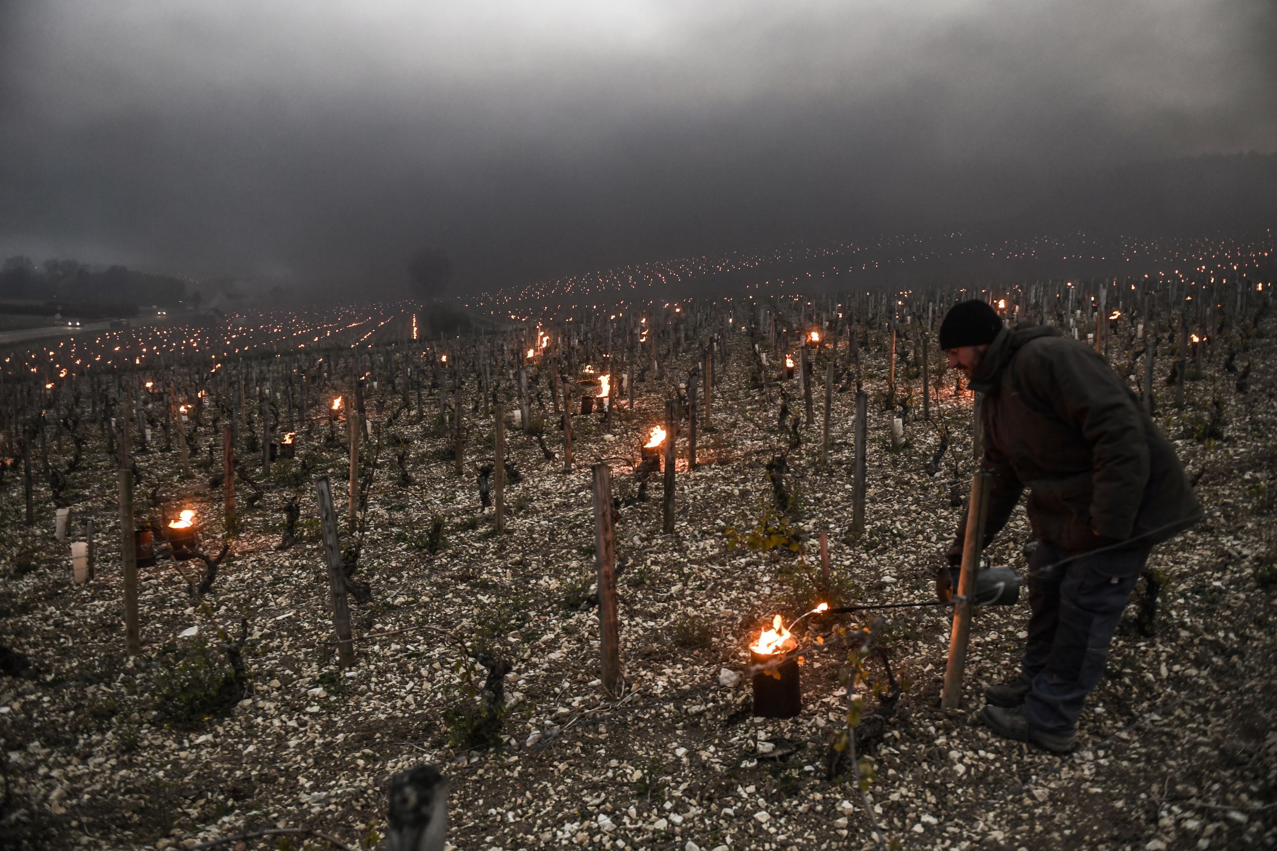 production française plonger 2017