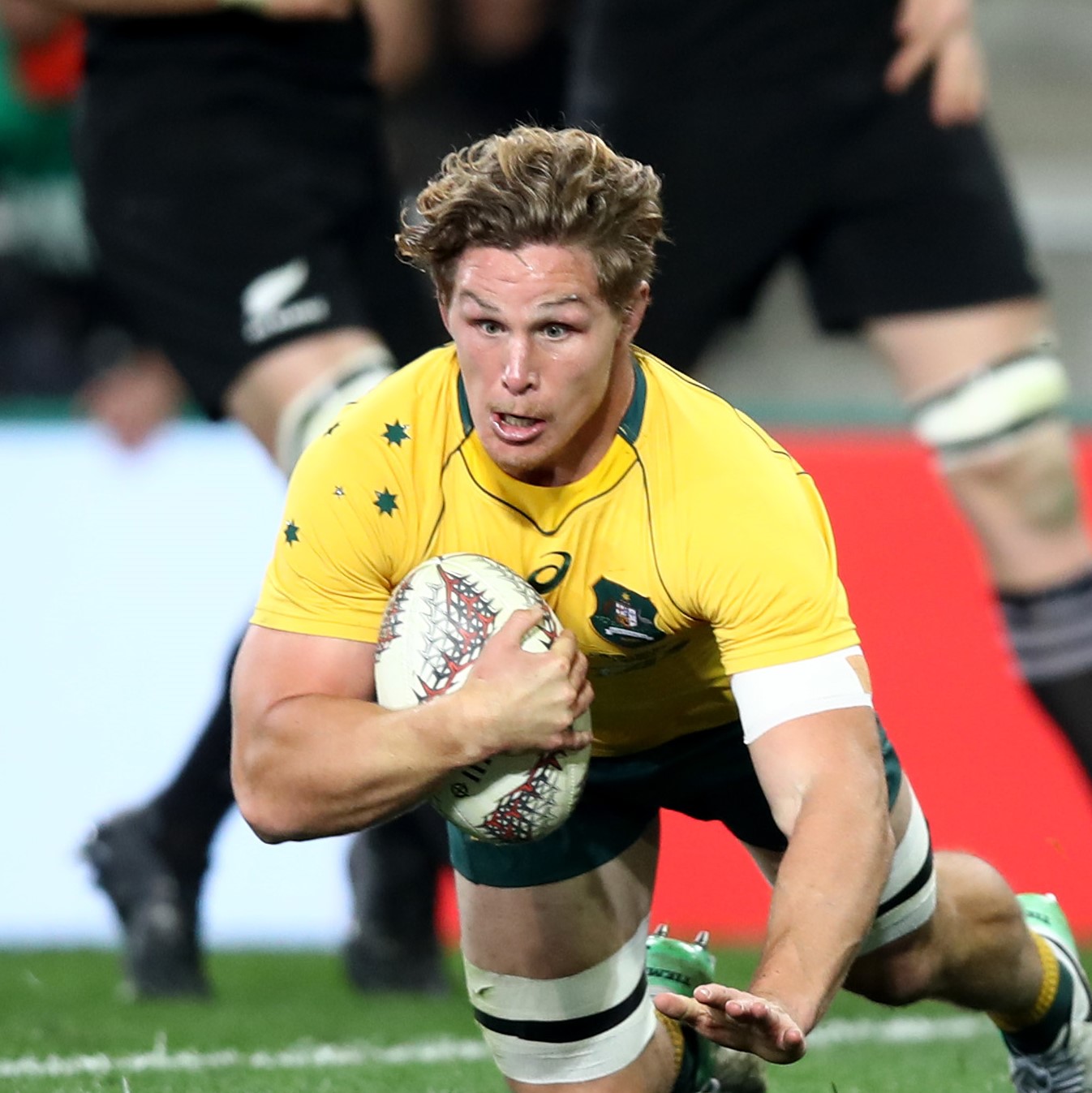 Bledisloe heartbreak gallant Wallabies