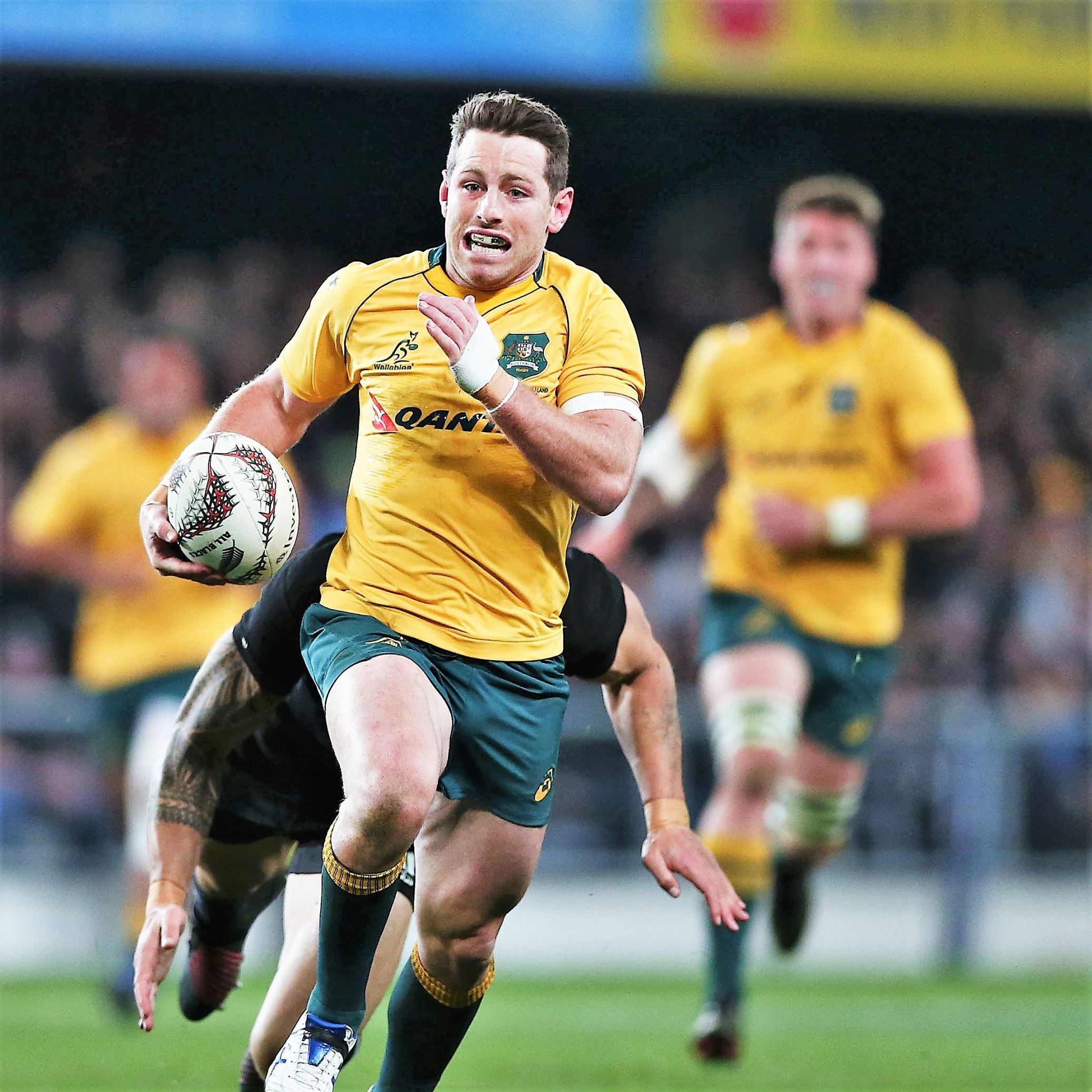 Wallabies Blacks: happened