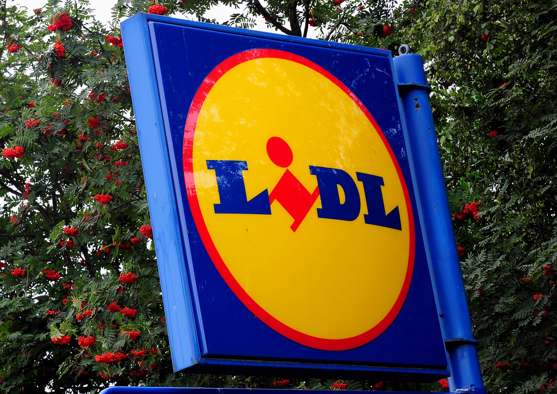 Huge queues outside Lidl supermarkets