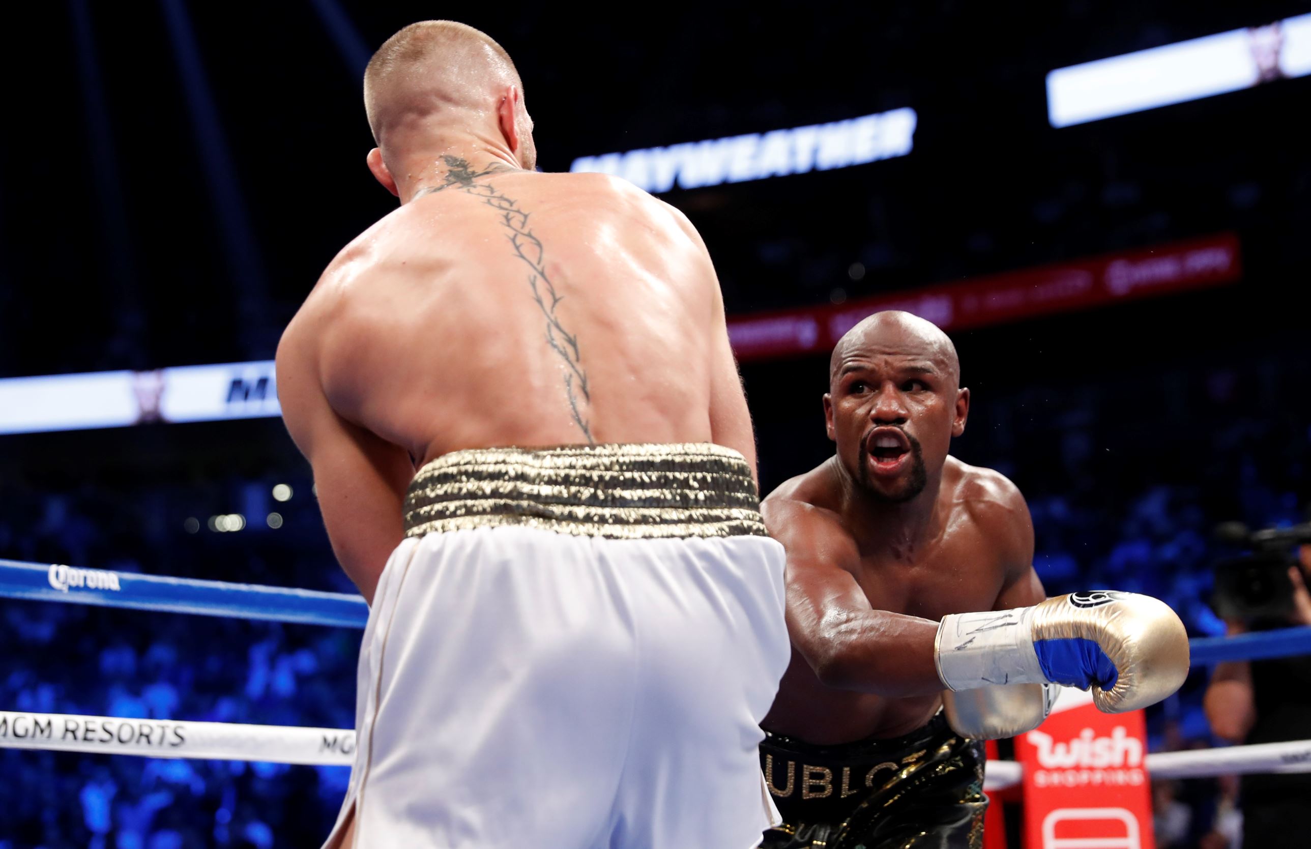 Diapositiva 14 de 38