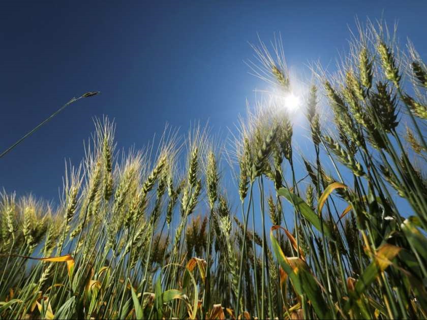 Heat warnings issued much southern