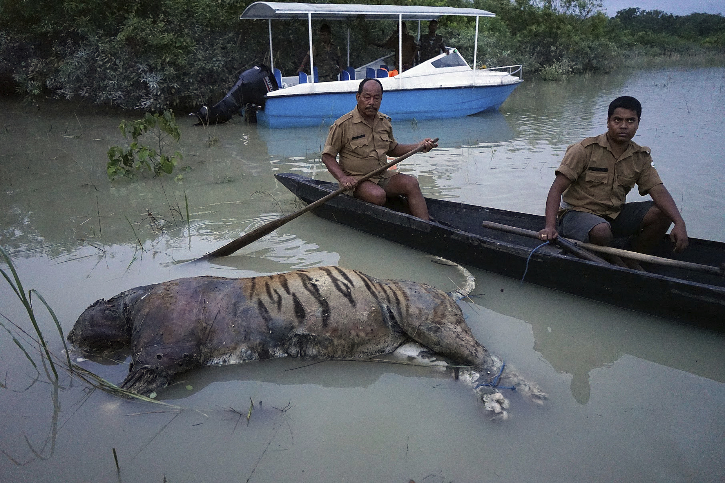 Flood fury Bihar, Bengal Assam
