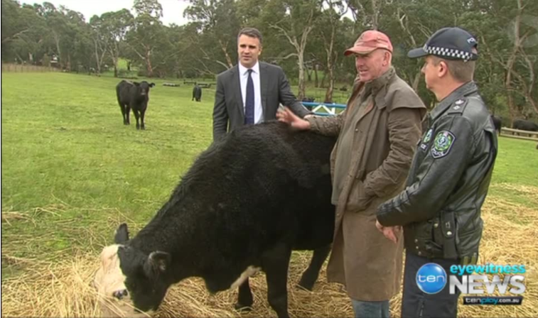 police sights sheep stealers