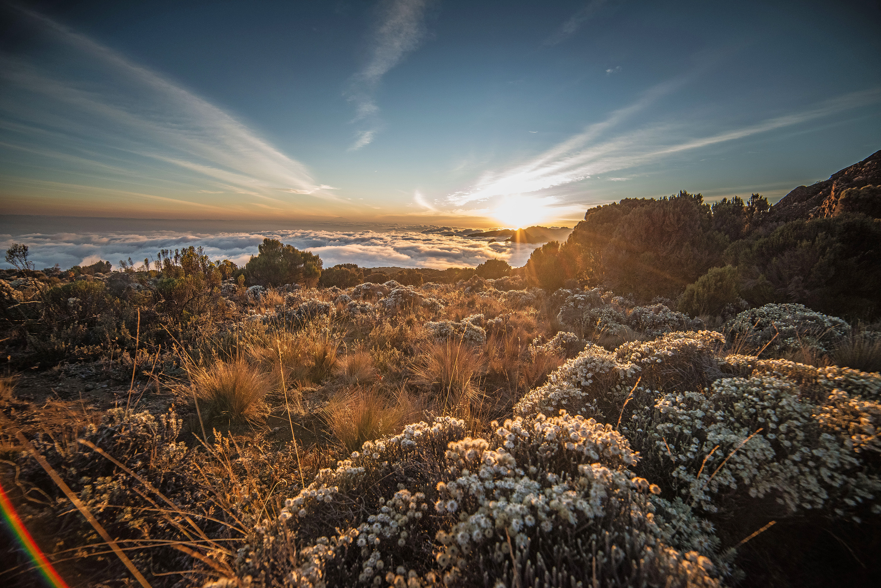 Wanderlust: Legendary hiking trails across