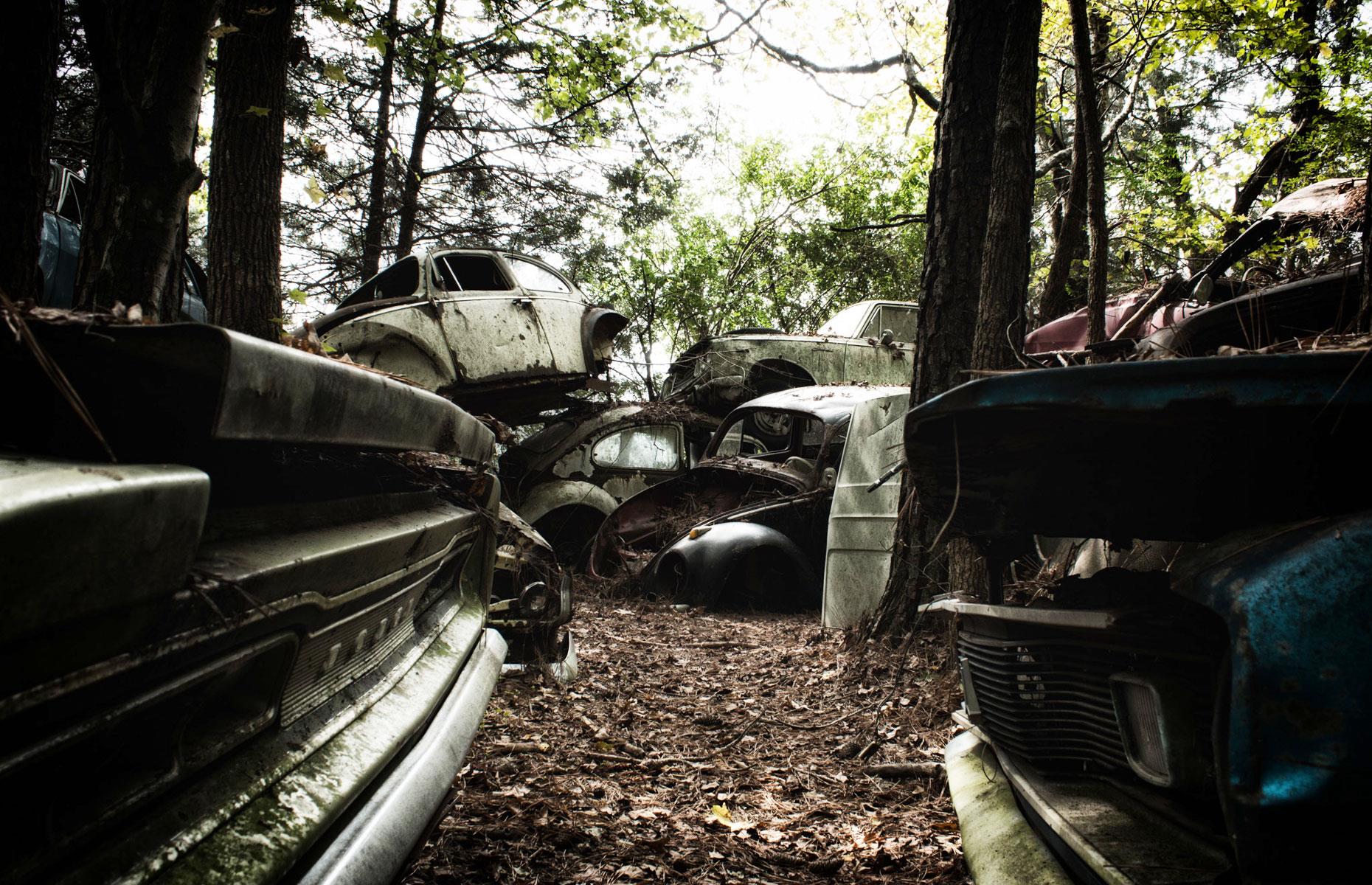 Where automobiles, planes trains