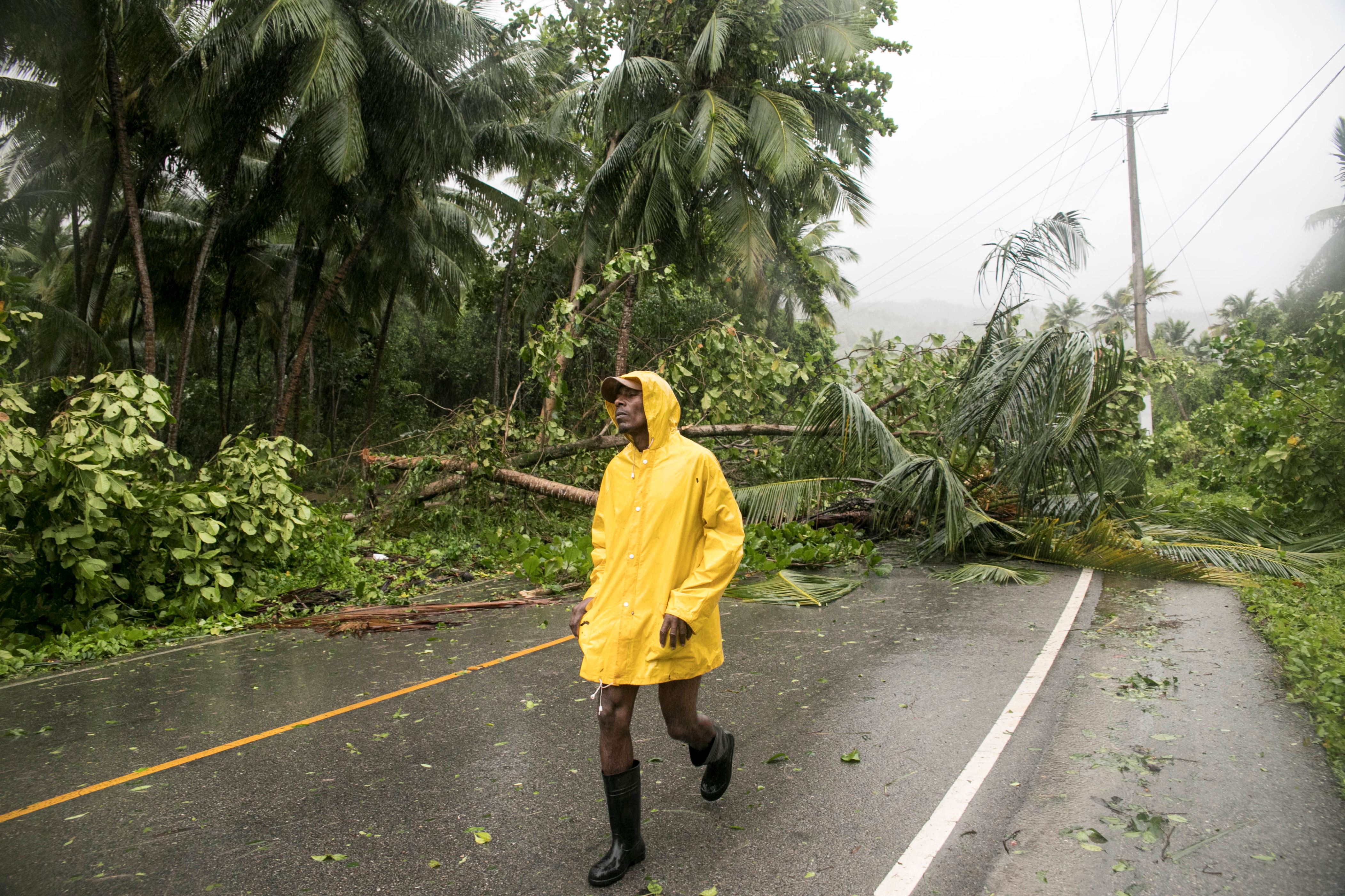Felled tress block a road in the aftermath of Hurricane Irma in Samana, Dominican Republic, Thursday, Sept. 7, 2017. Irma cut a path of devastation across the northern Caribbean, leaving thousands homeless after destroying buildings and uprooting trees. Irma is flooding parts of the Dominican Republic as it roars by just off the northern coast of the island it shares with Haiti. (AP Photo/Tatiana Fernandez)