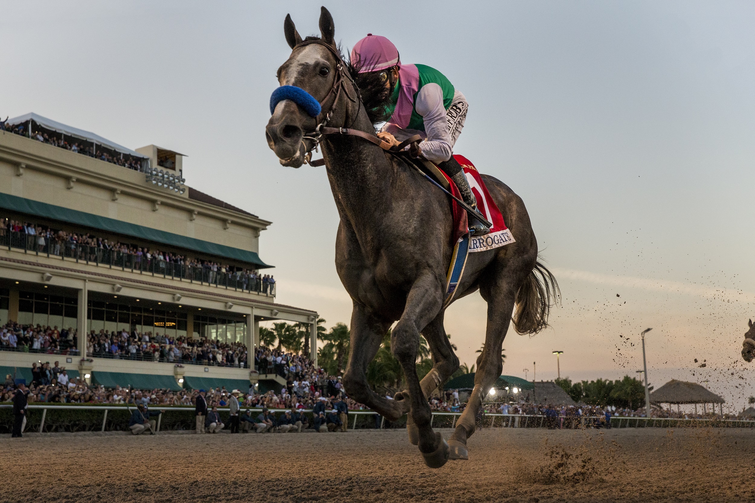 worldâ€™s richest horse races