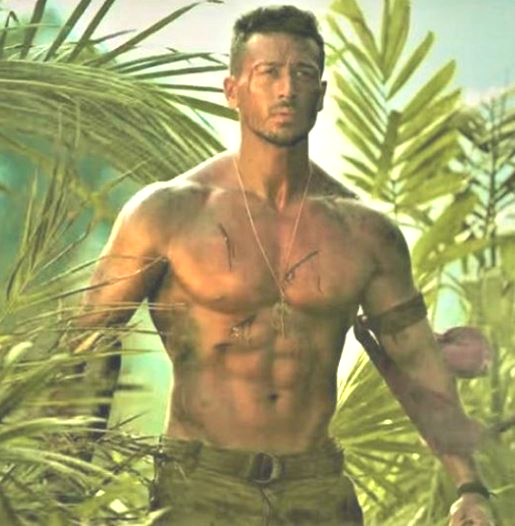Baaghi Critics verdict