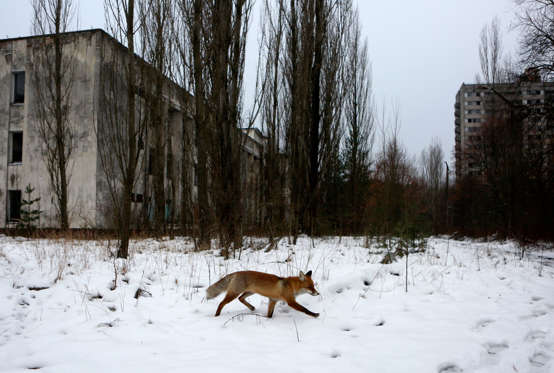 Slide 23 de 25: Chernobyl