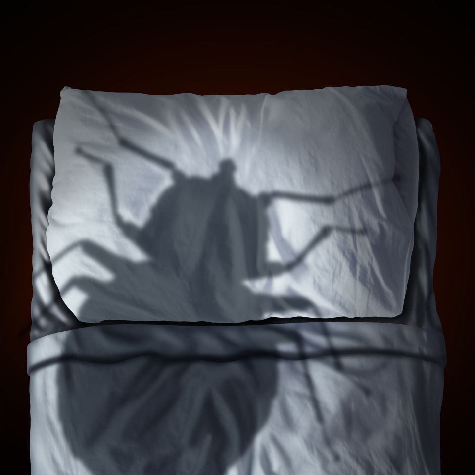 brave enough visit horror-themed hotel?