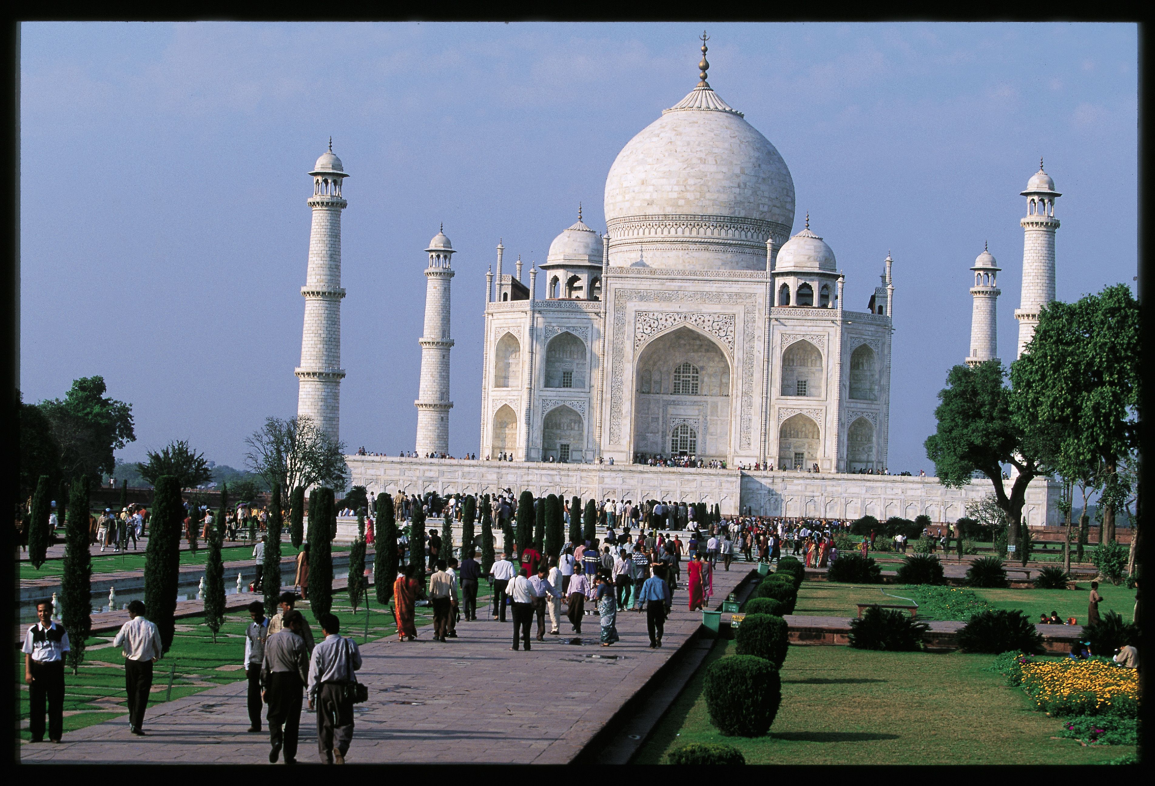 Algae affecting Taj: