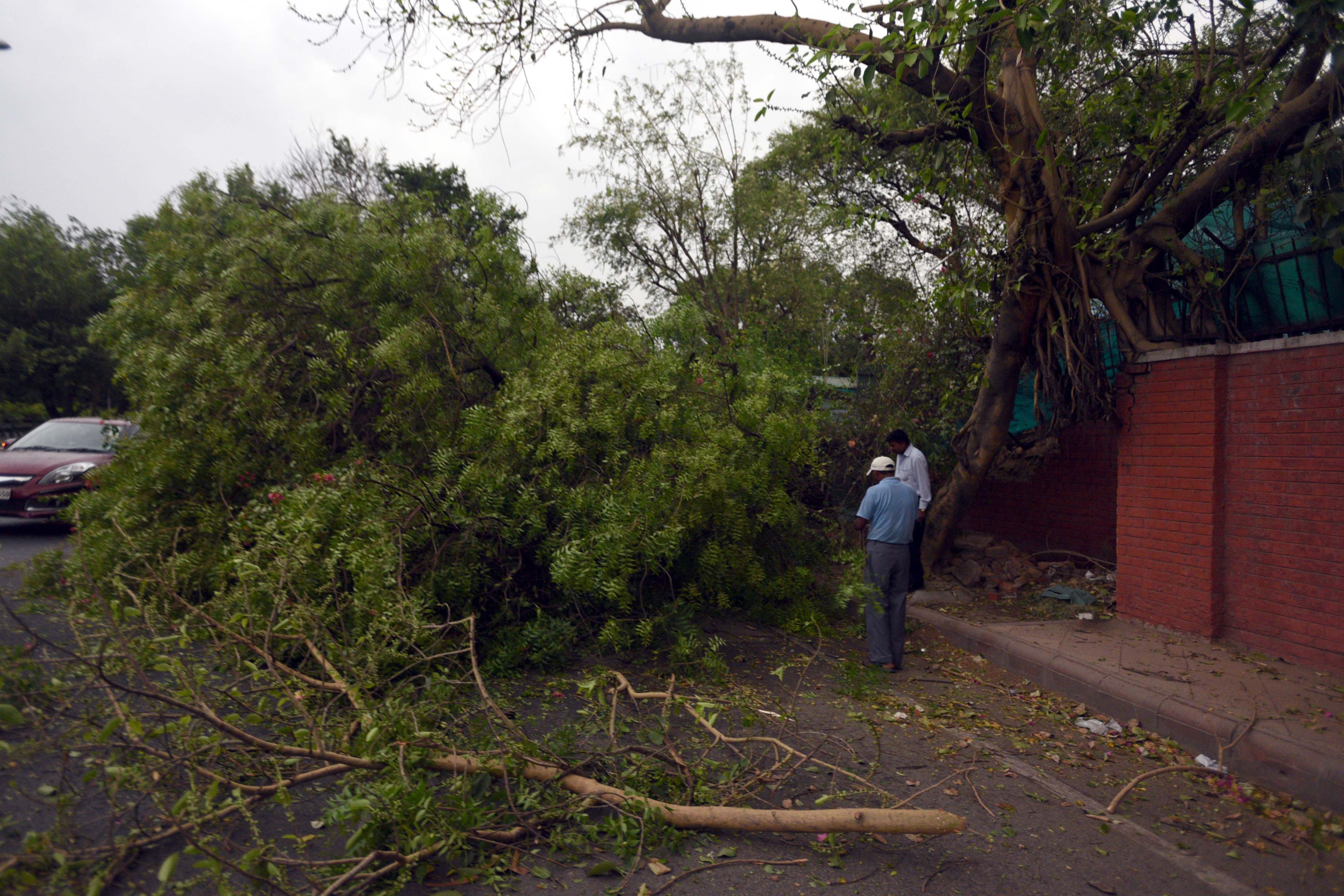 Late-night storm hits Delhi
