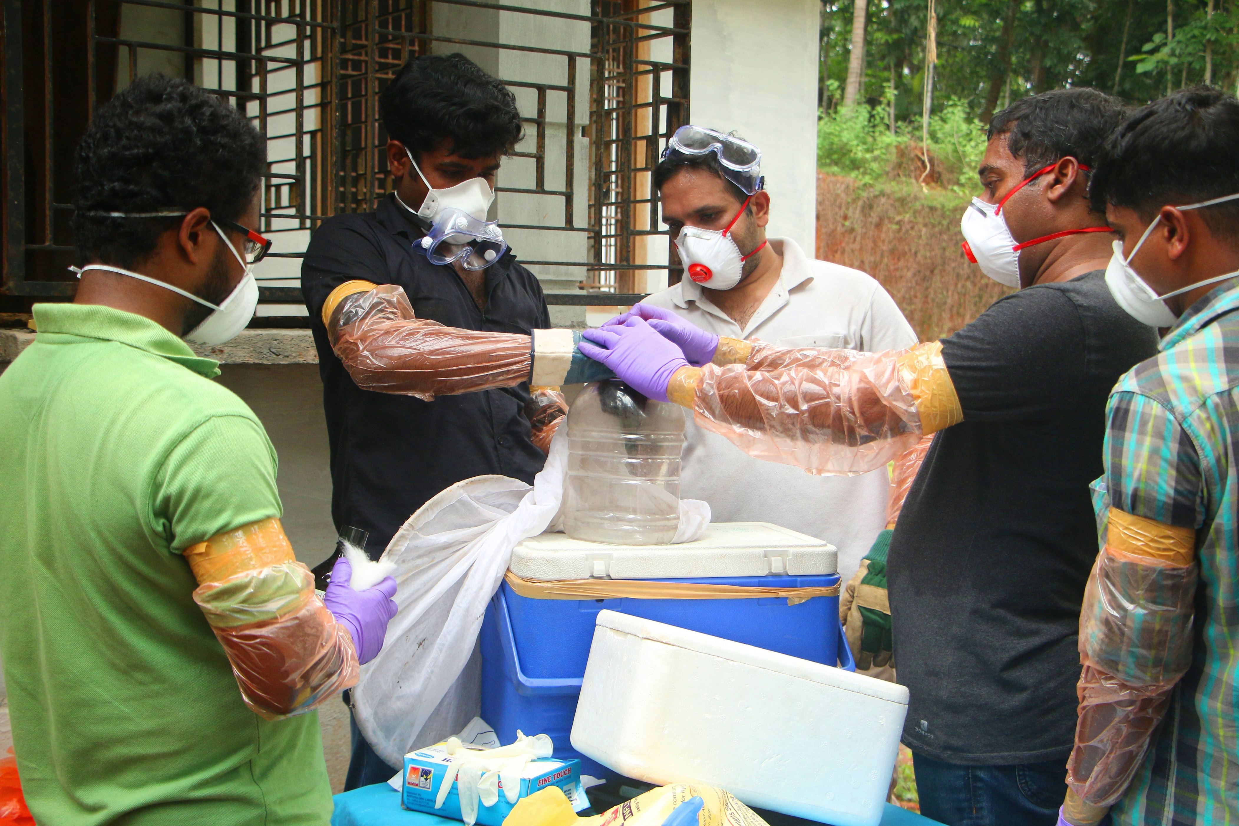 Nipah virus claims another life