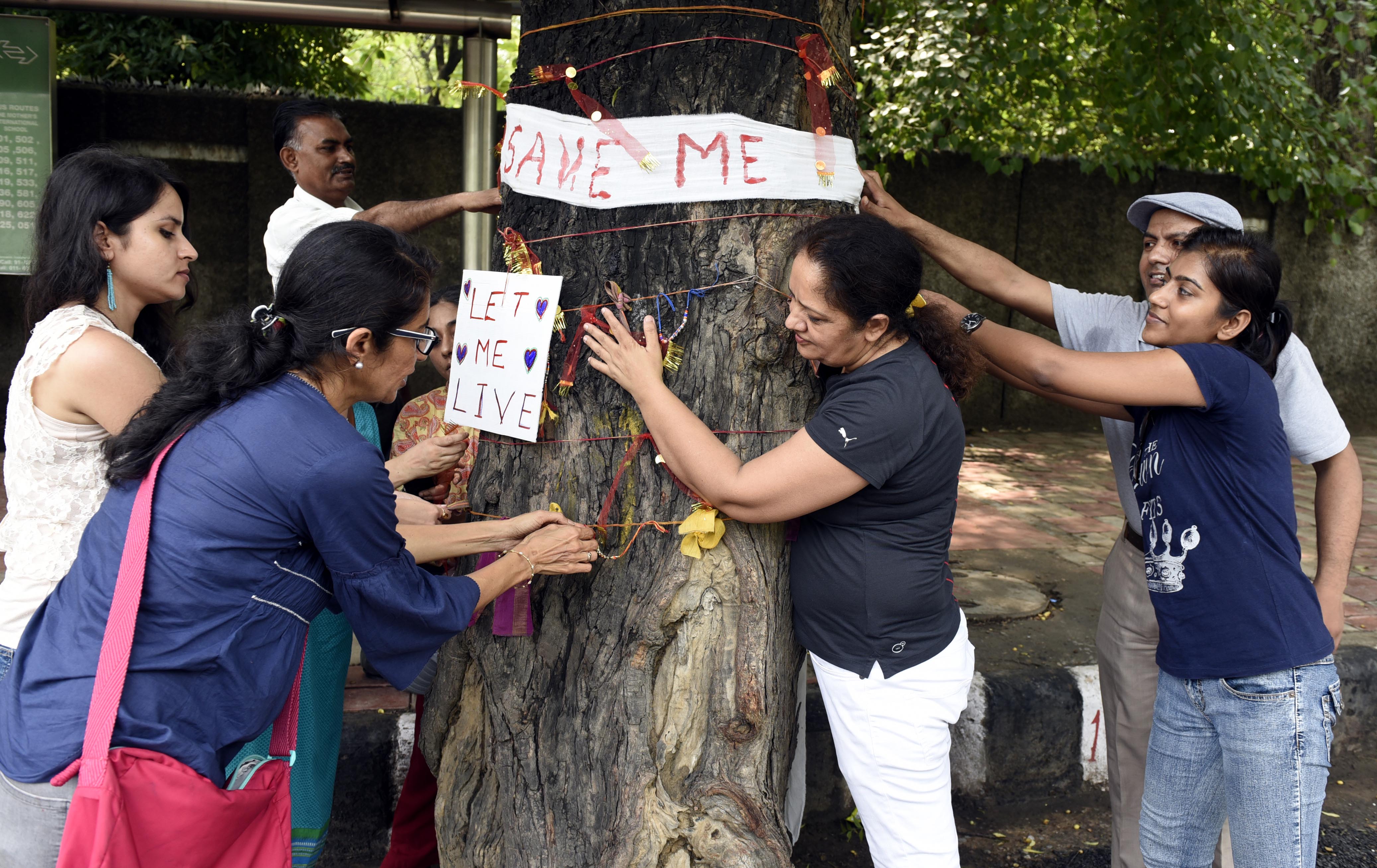 more Delhi trees till July