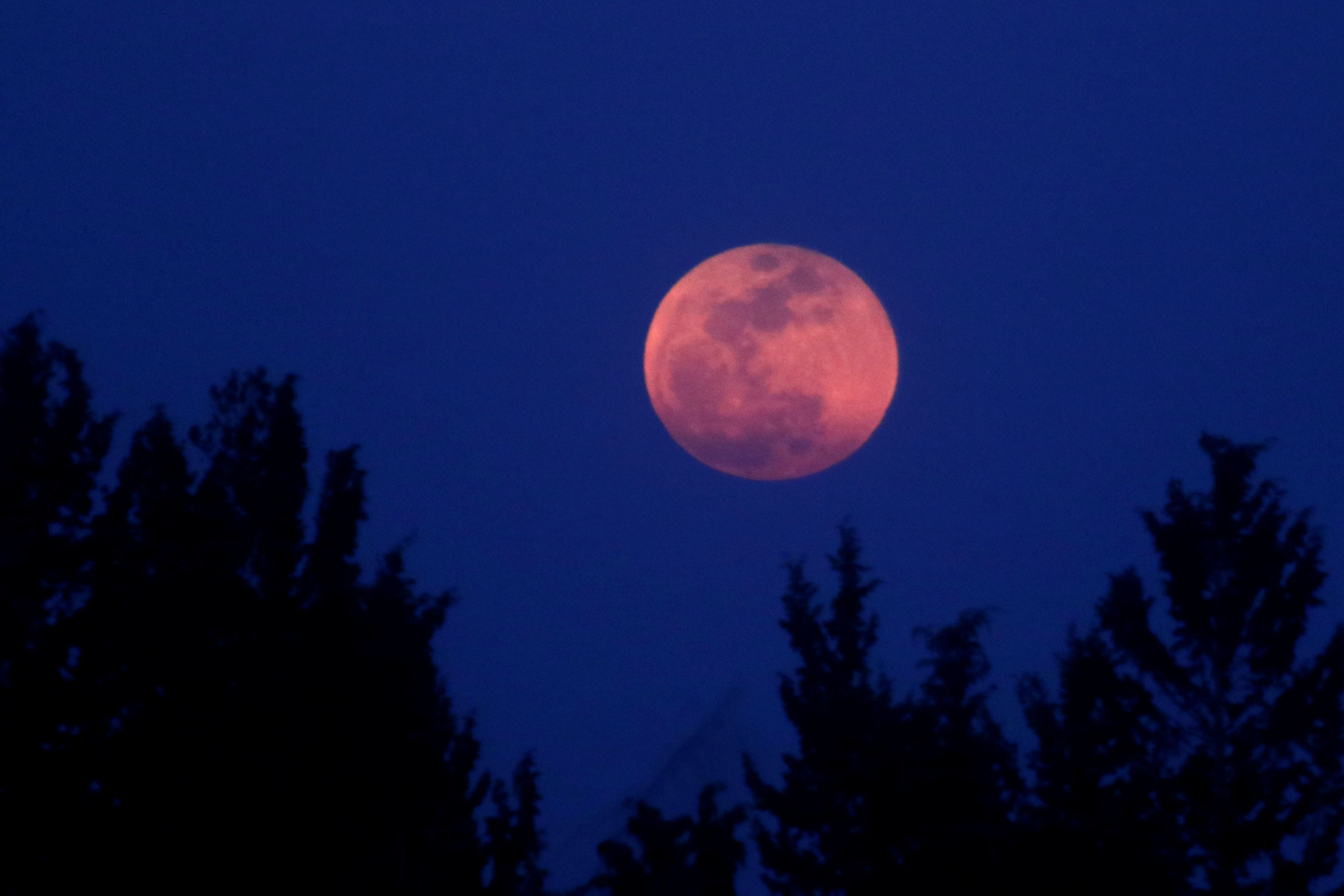 Blood, blue, black moon: they