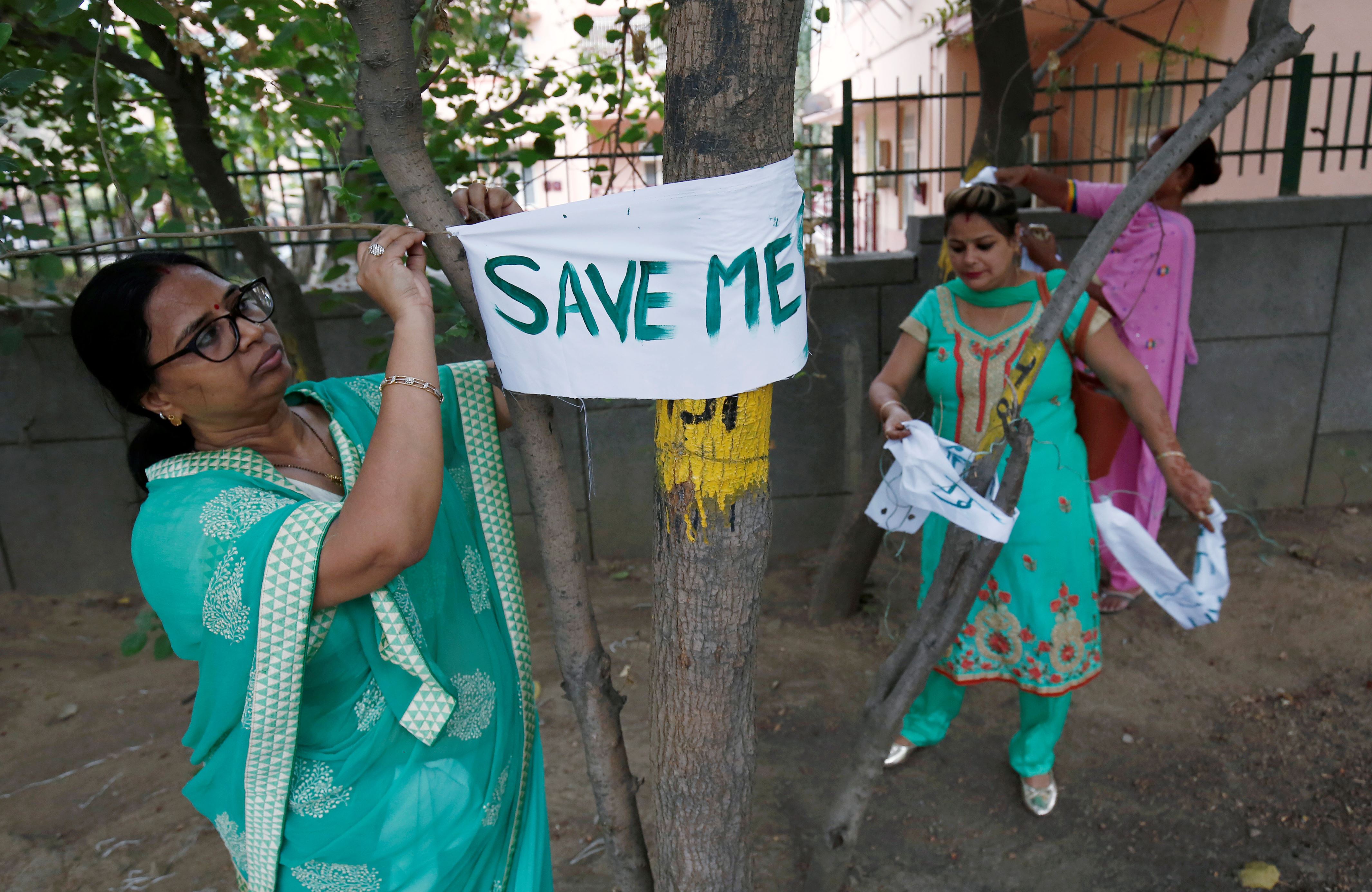Green panel stays felling trees