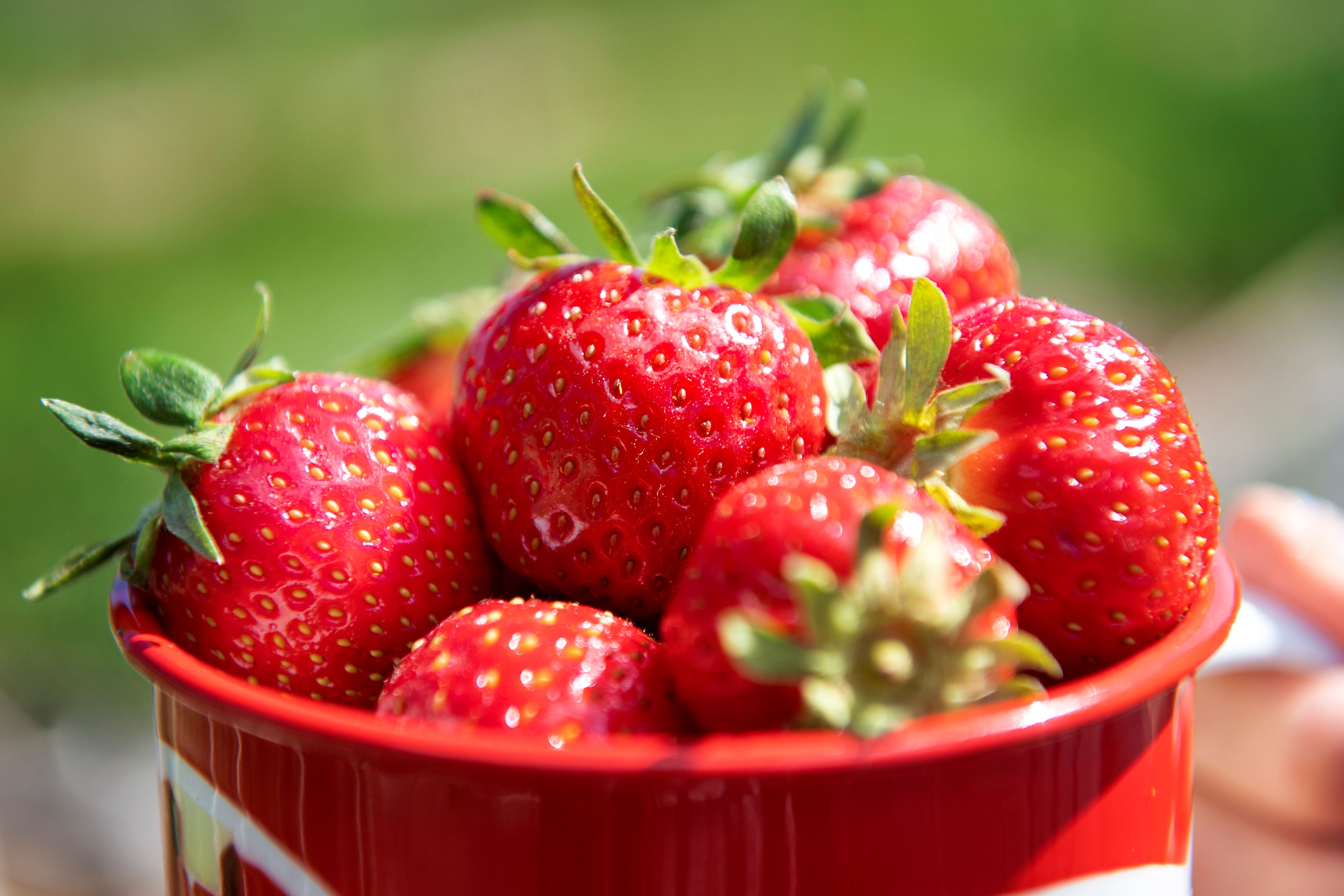 Så kan DU hjälpa jordgubbarna