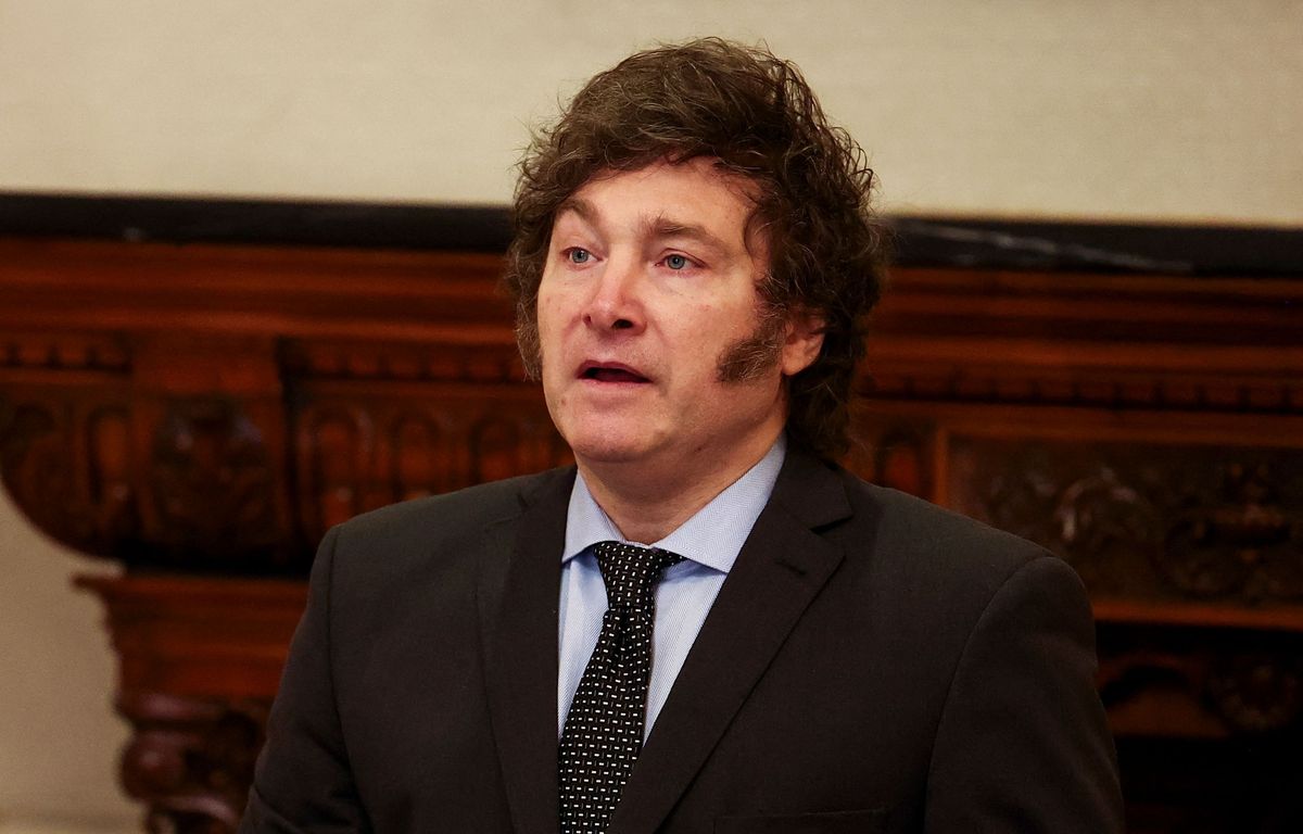 Argentine Le Gouvernement De Javier Milei Interdit Le Langage