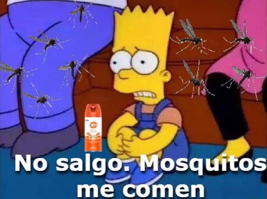 Los memes de la invasión de mosquitos en Argentina