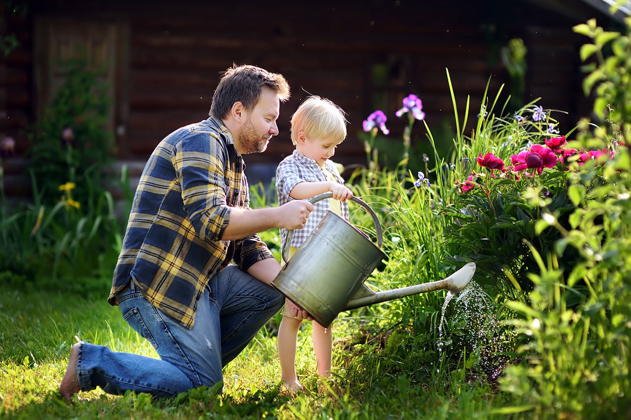 Les Tapes Cl S Pour L Entretien De Votre Jardin D But Mars