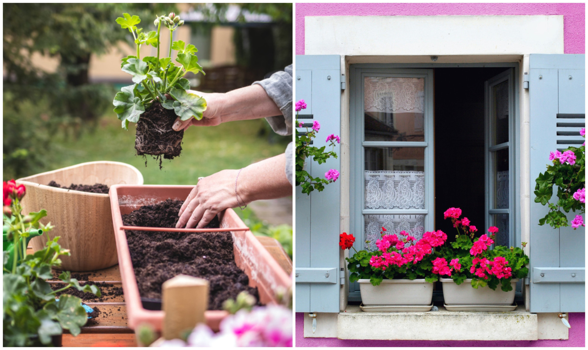 How To Create The Perfect Window Box