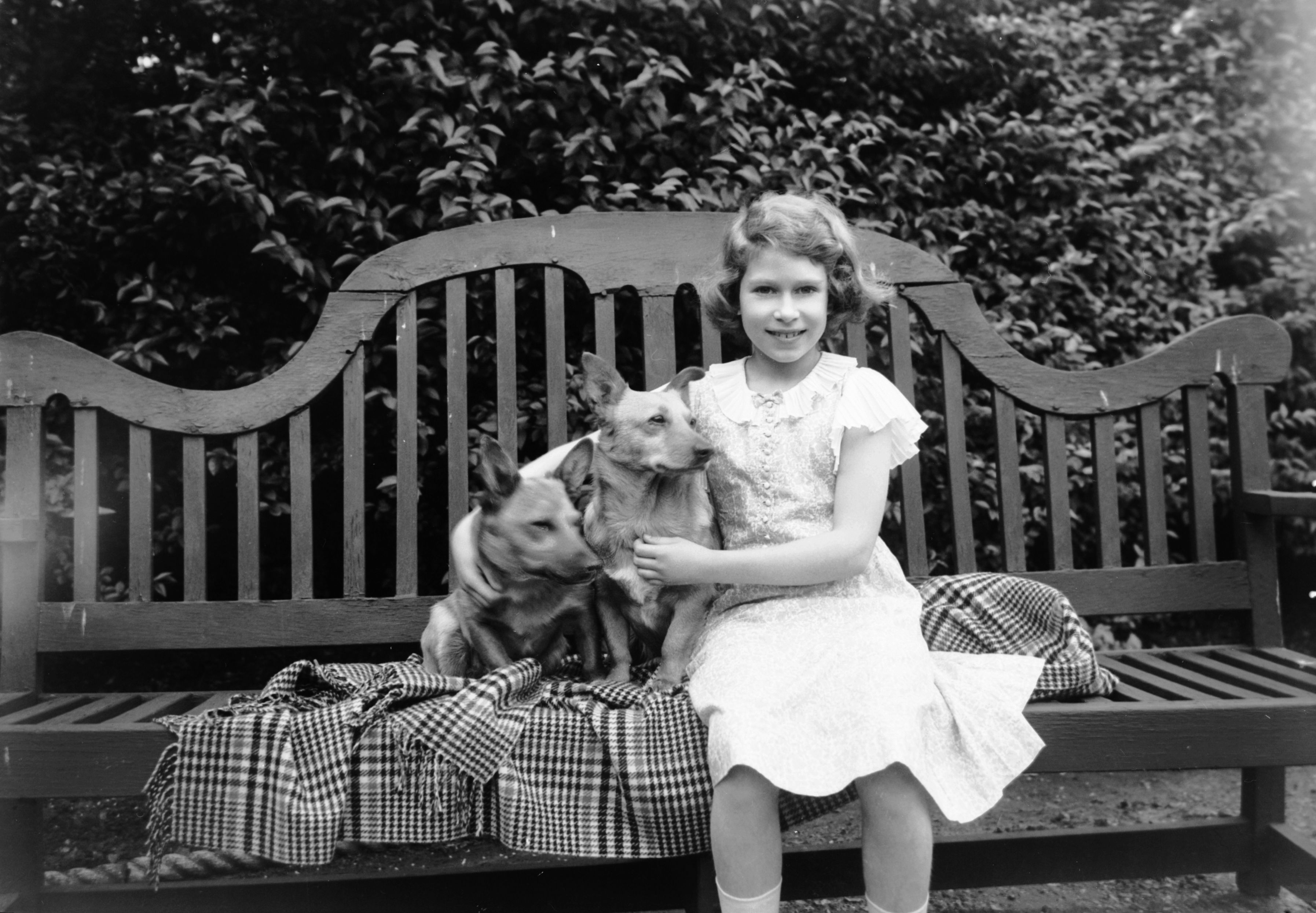 Queen Elizabeth with adorable dogs