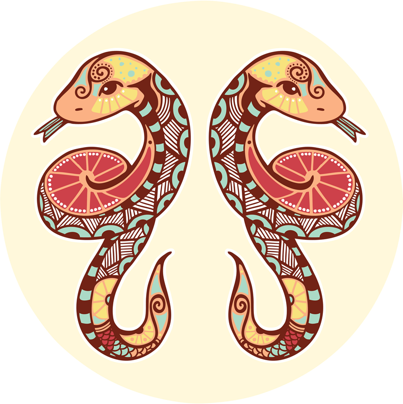 Gemini 21-June