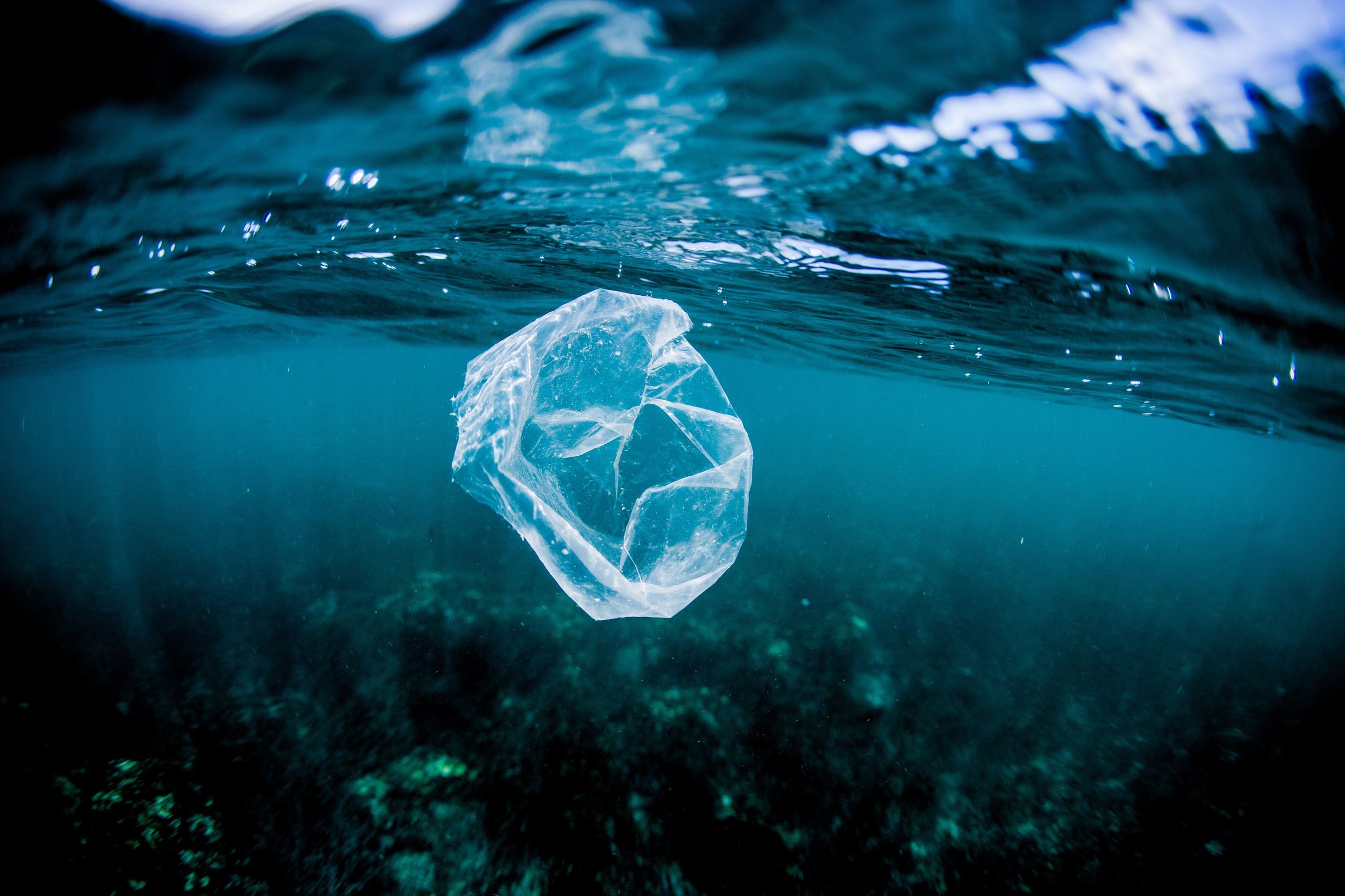 pics: Plastic pollution oceans