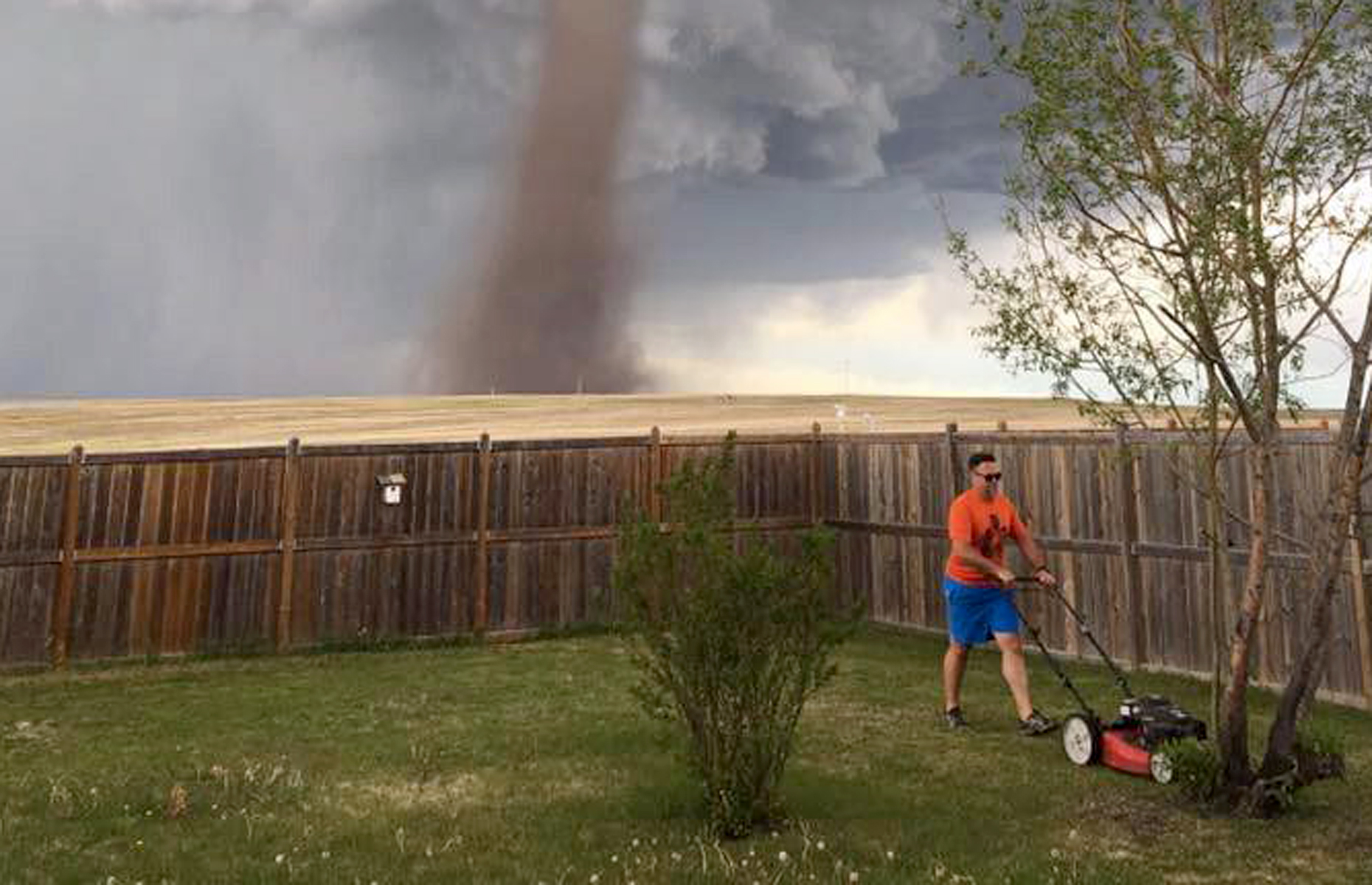 Photo Albertan mowing lawn during